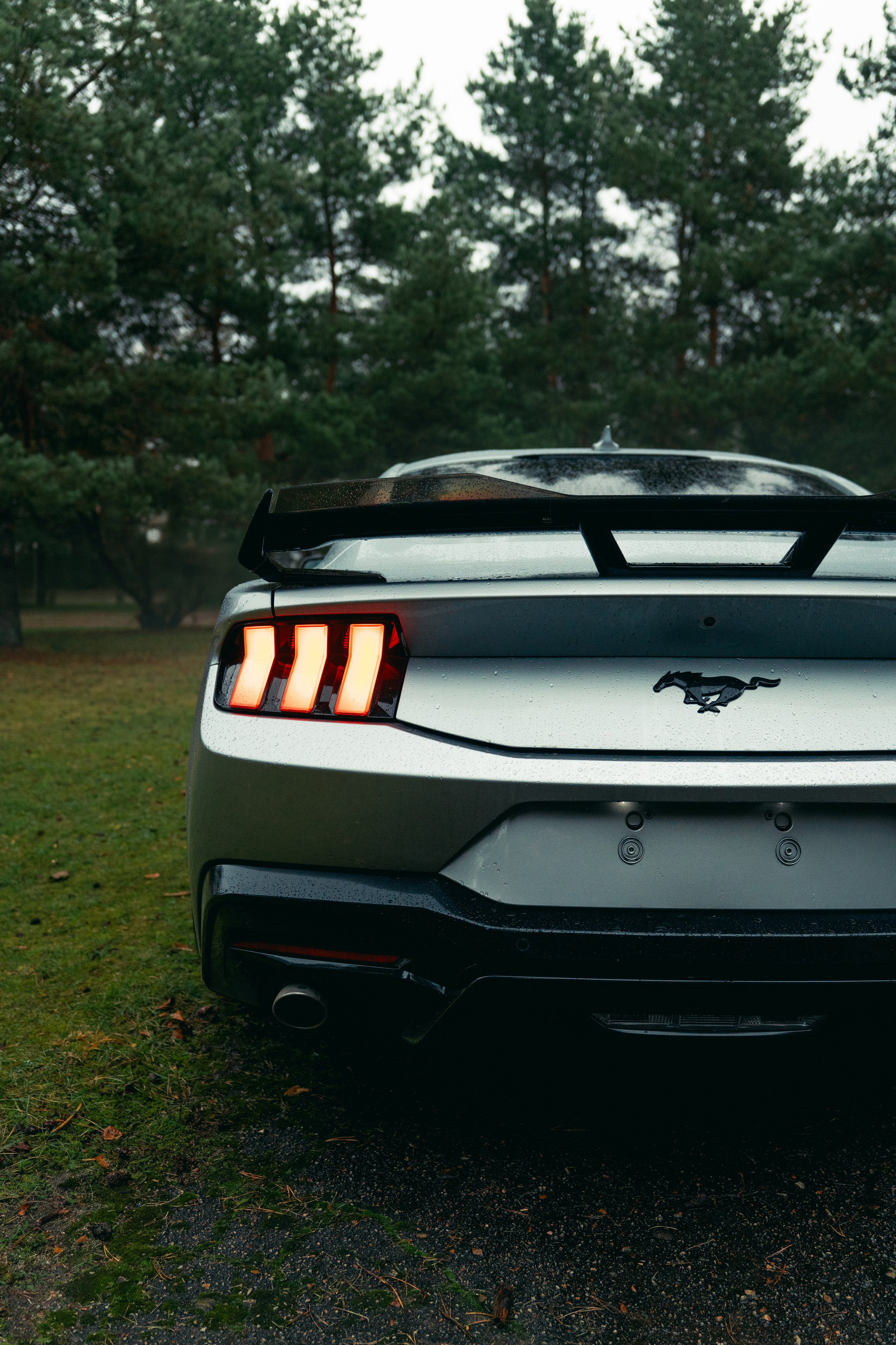 Фотографии Ford Mustang