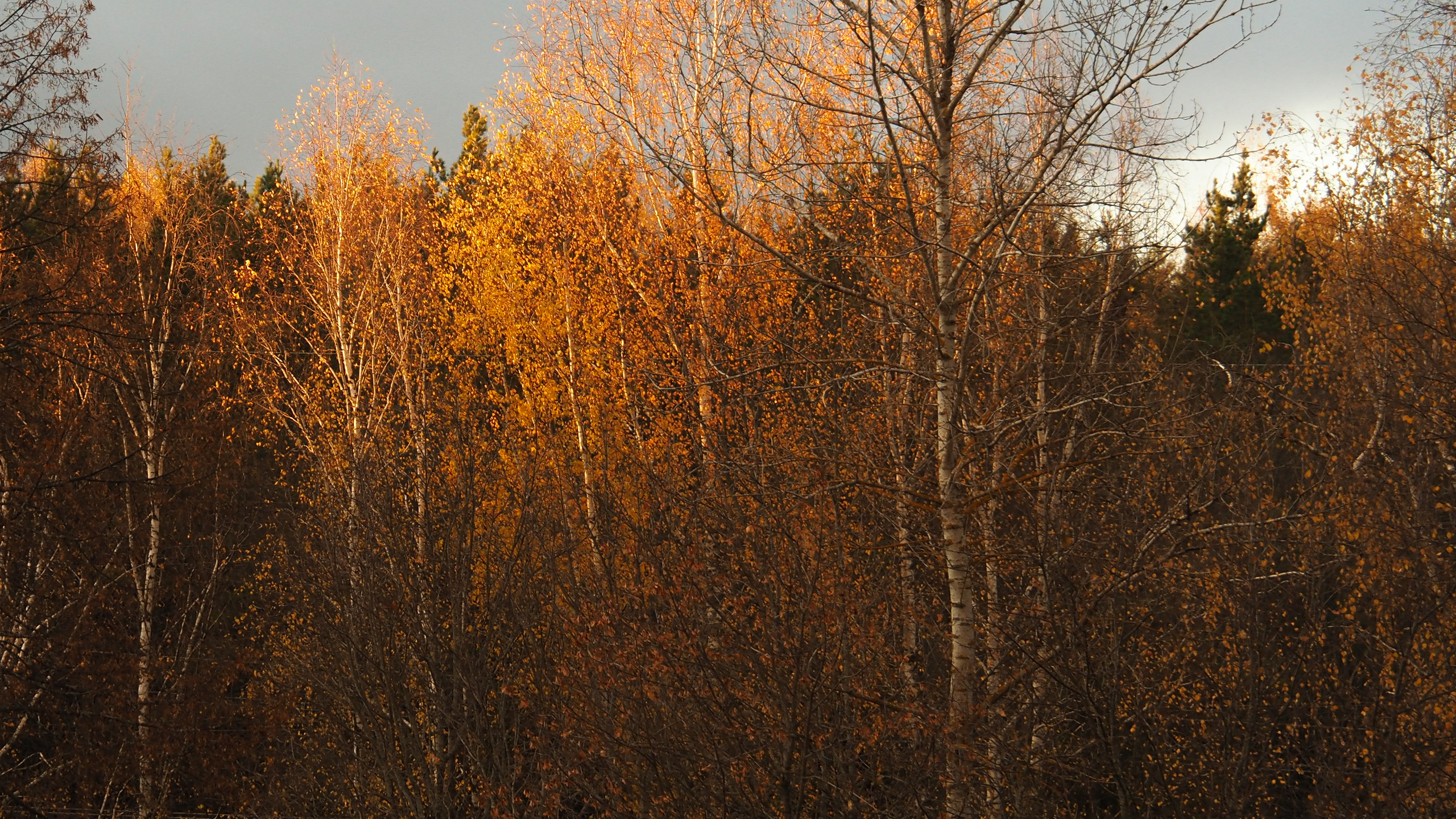 The world around me. Фотограф