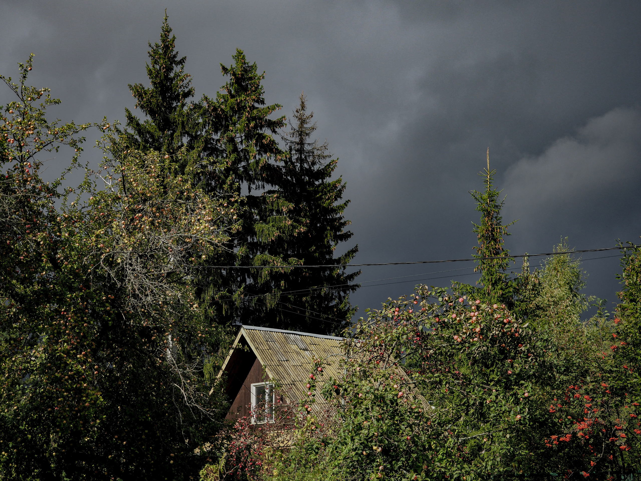 The world around me. Фотограф