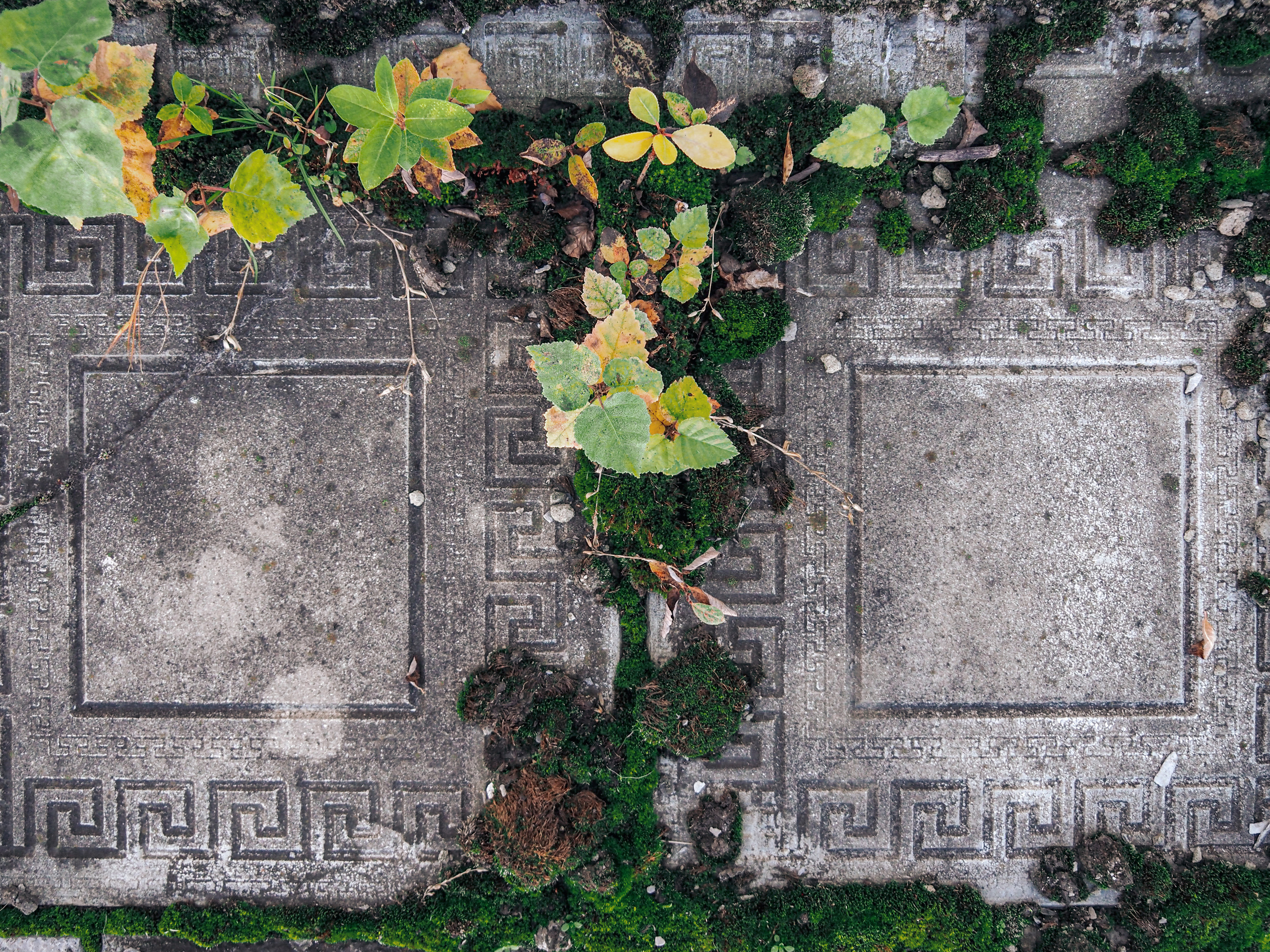 Moscow and its inhabitants. Фотограф