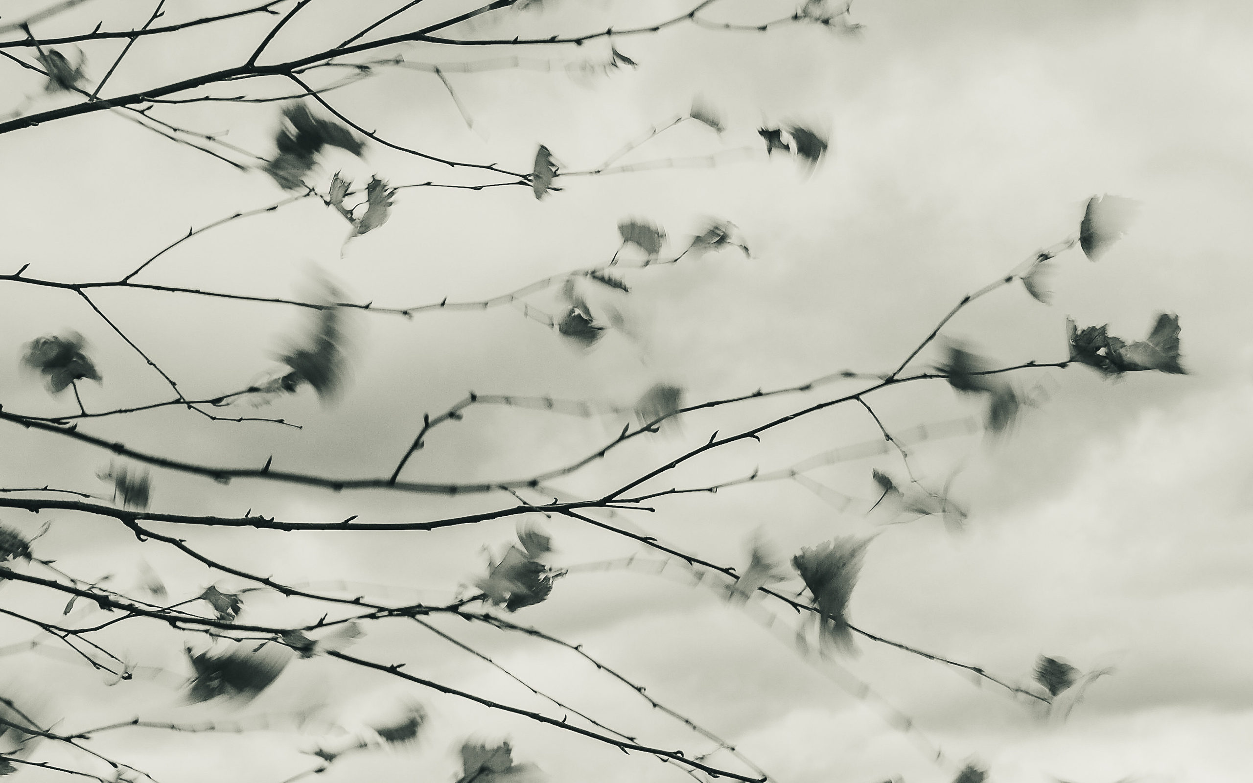 The world around me. Фотограф