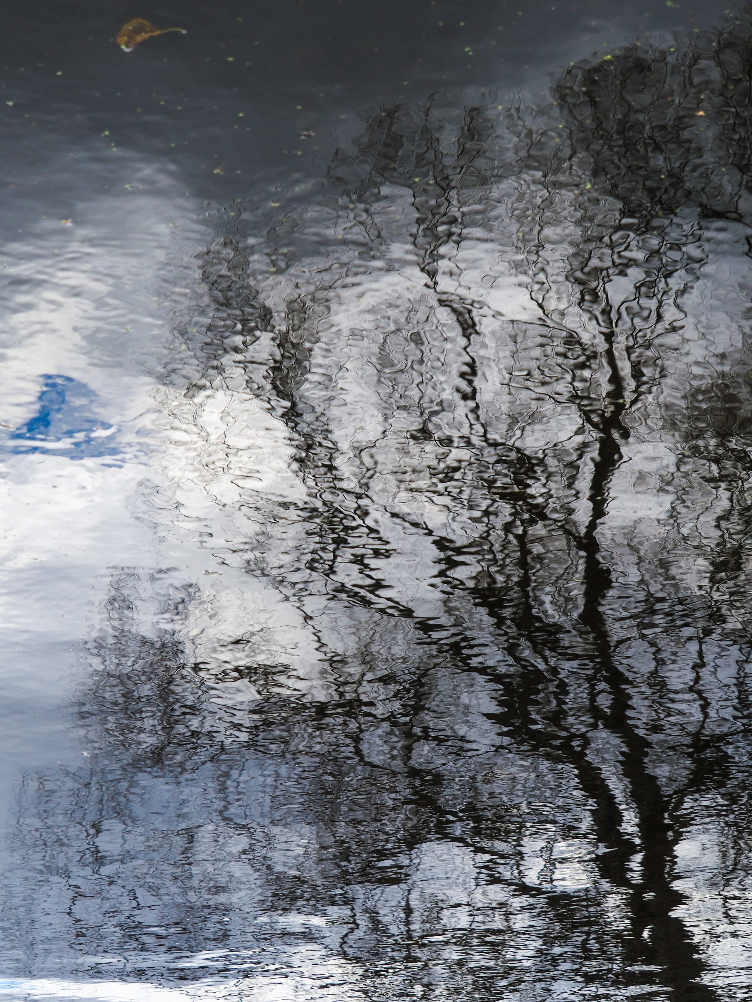 Not far from Moscow. Фотограф