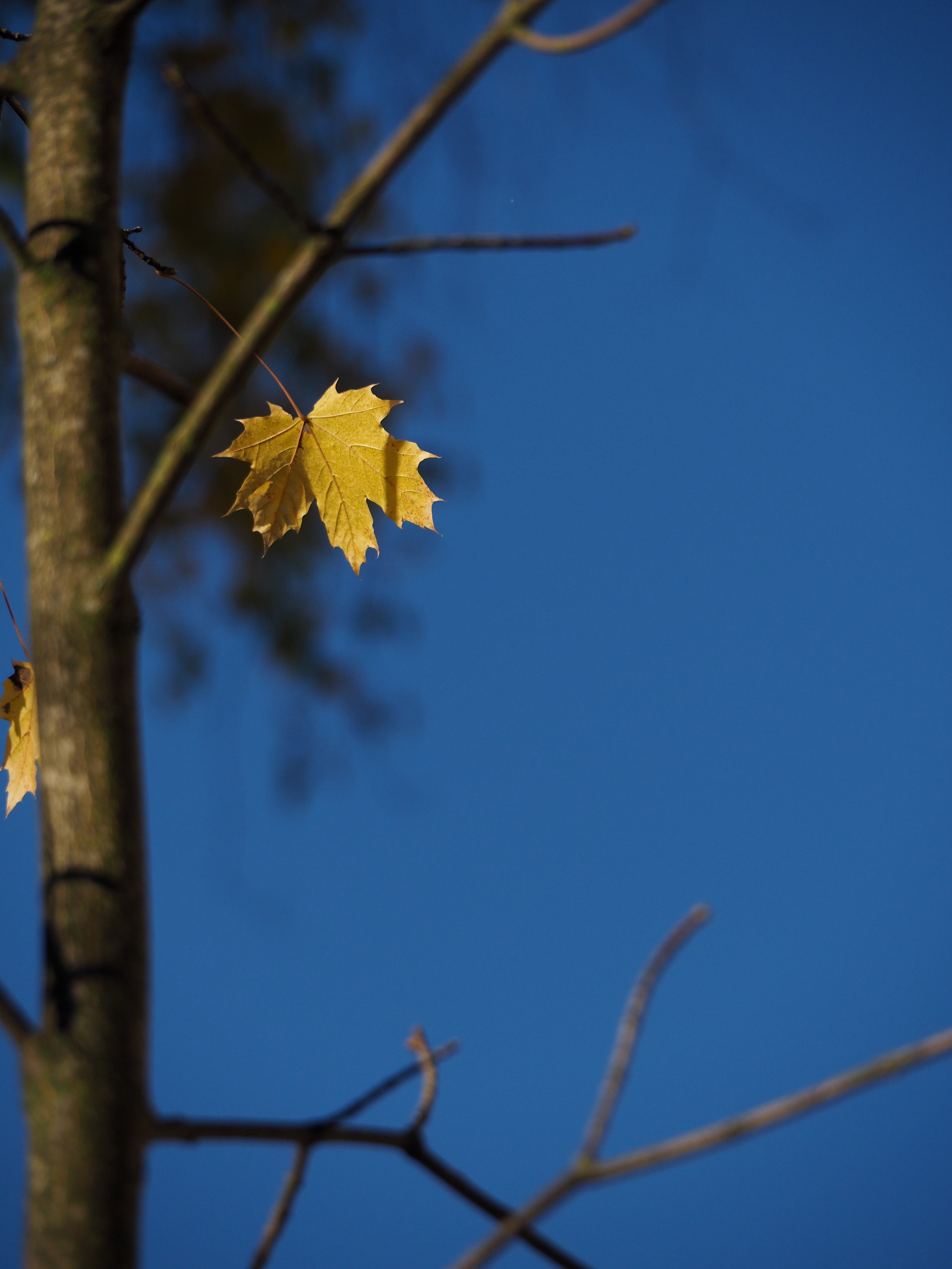 Autumn 2021. Фотограф
