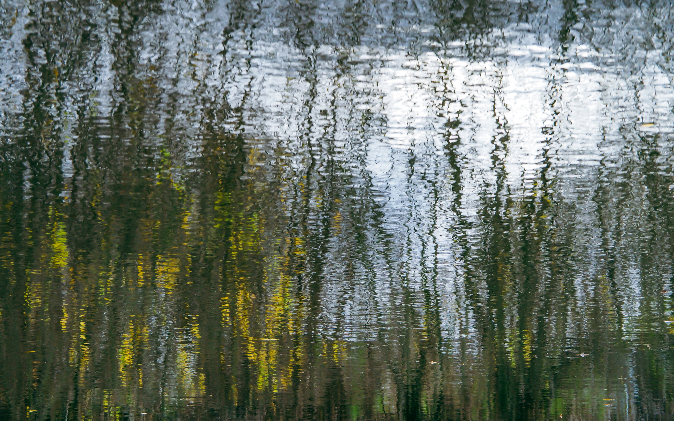 The world around me. Фотограф