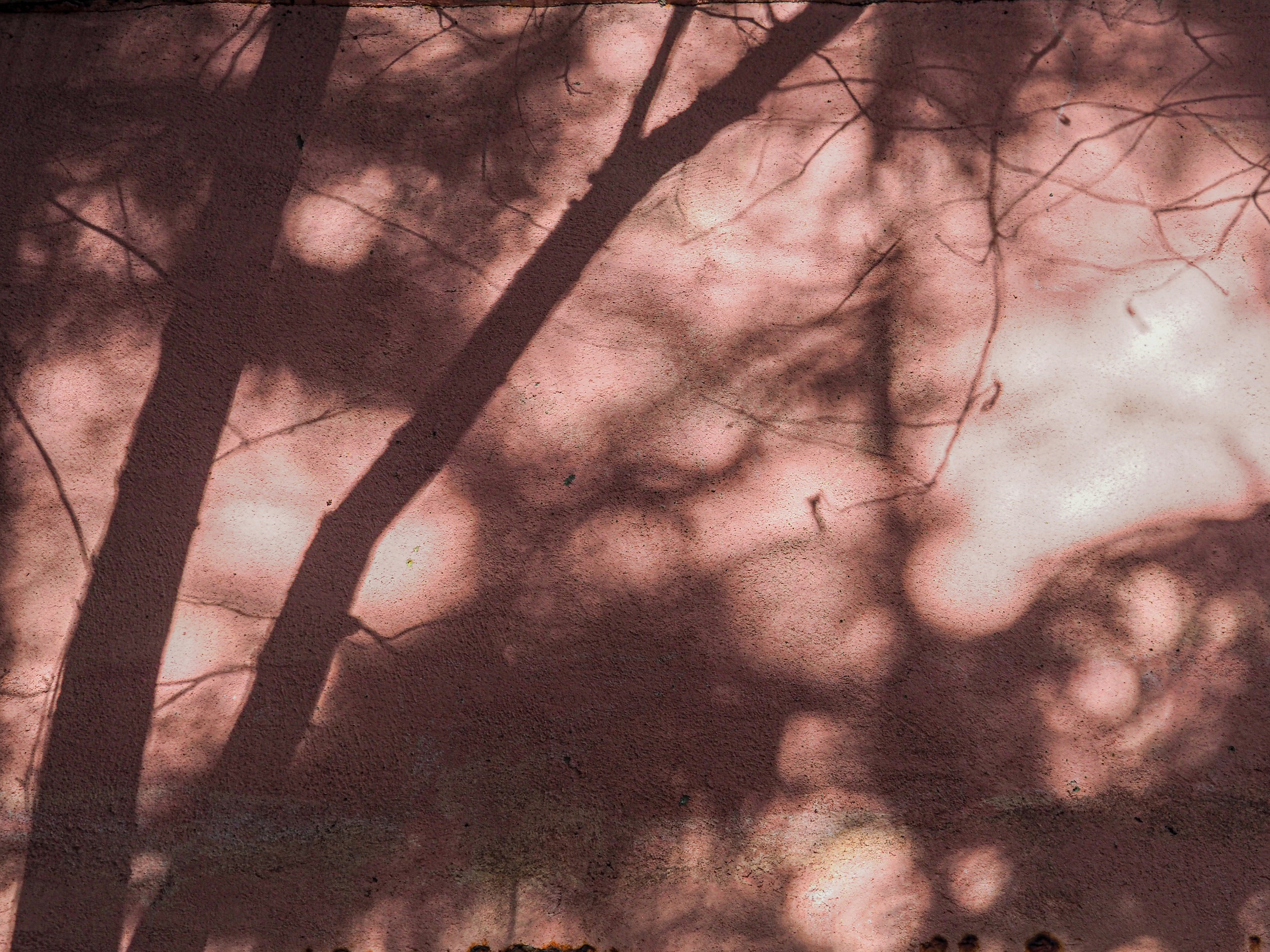 Autumn 2021. Фотограф