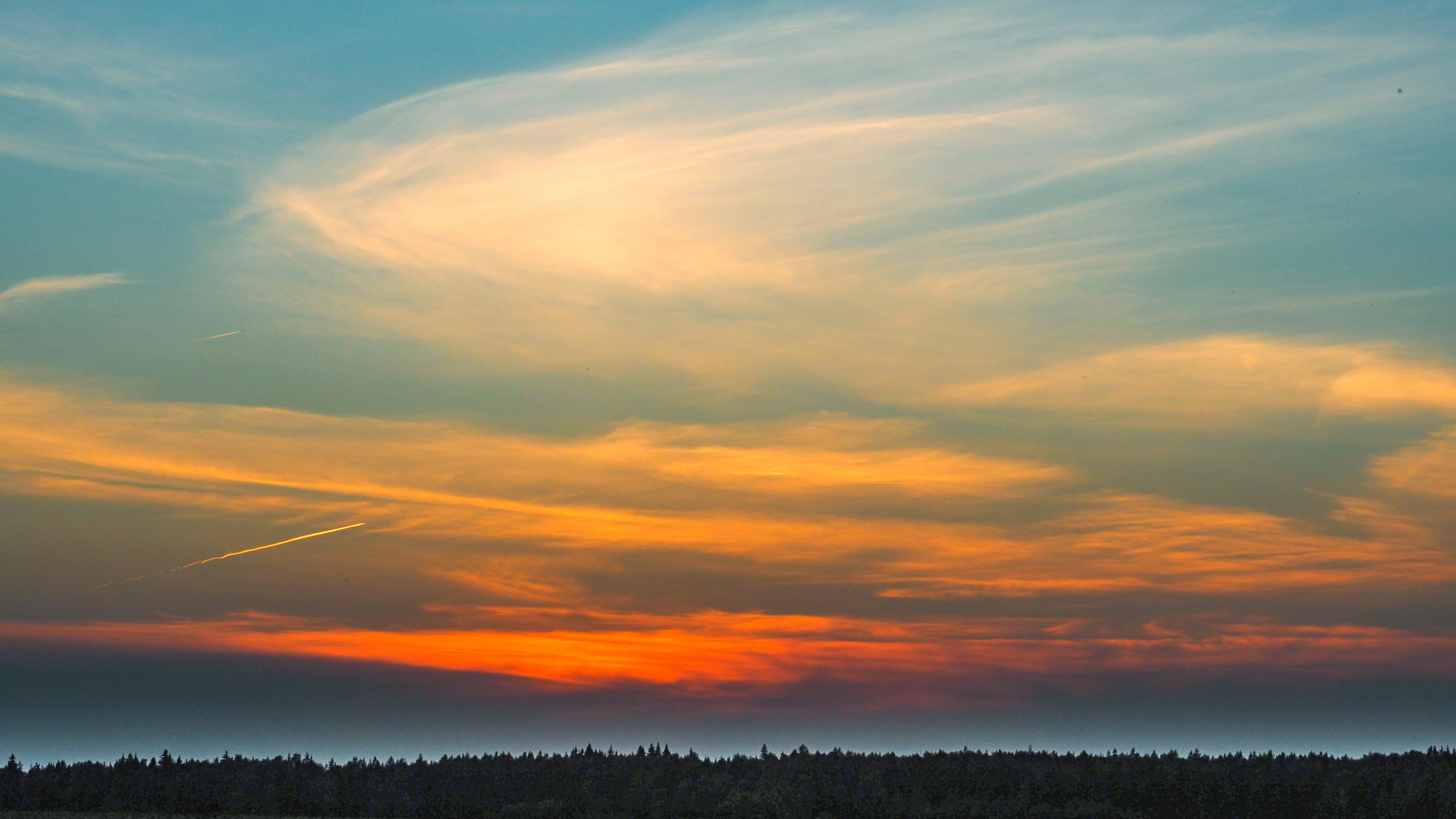 The world around me. Фотограф