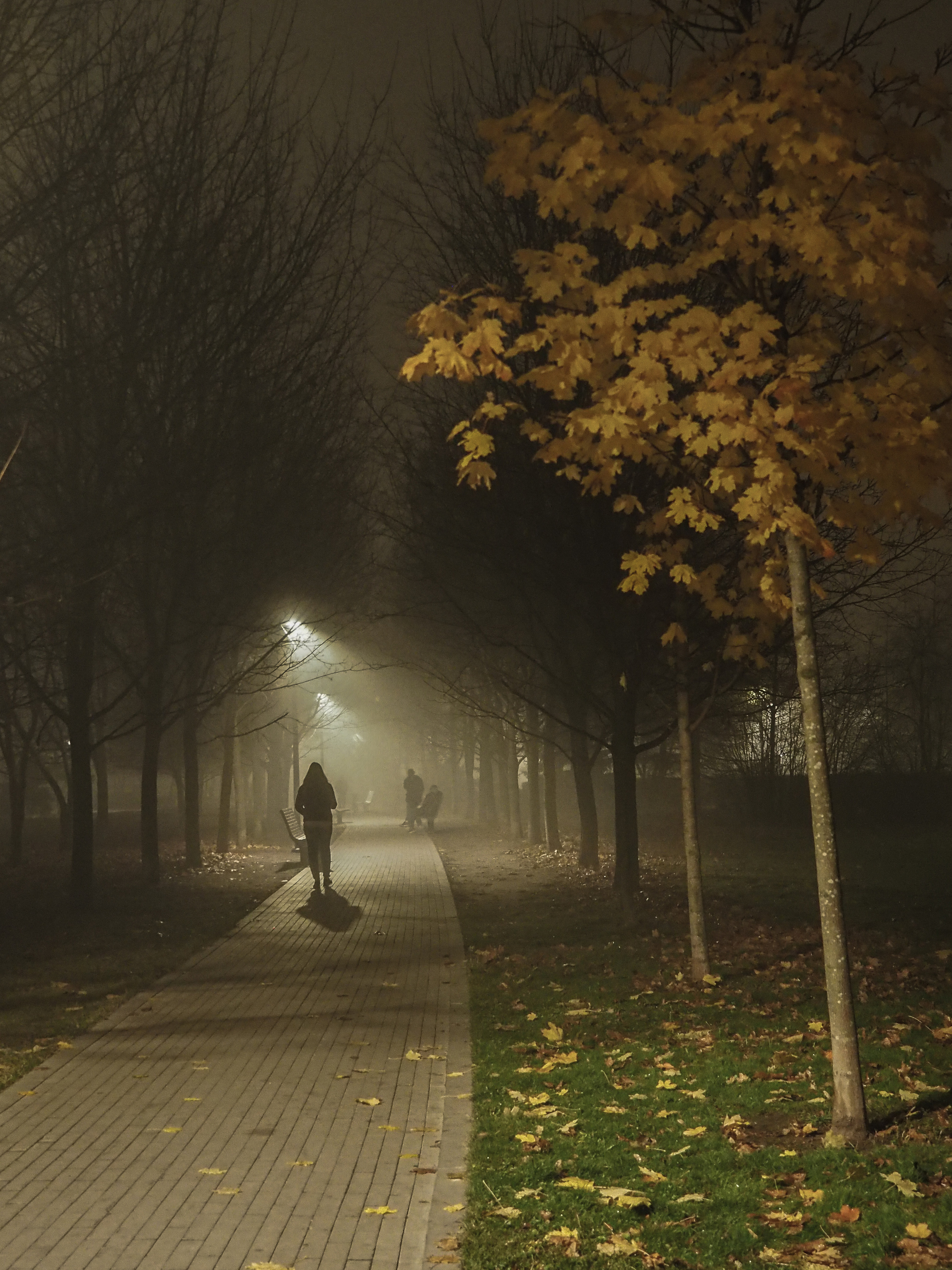 Moscow and its inhabitants. Фотограф