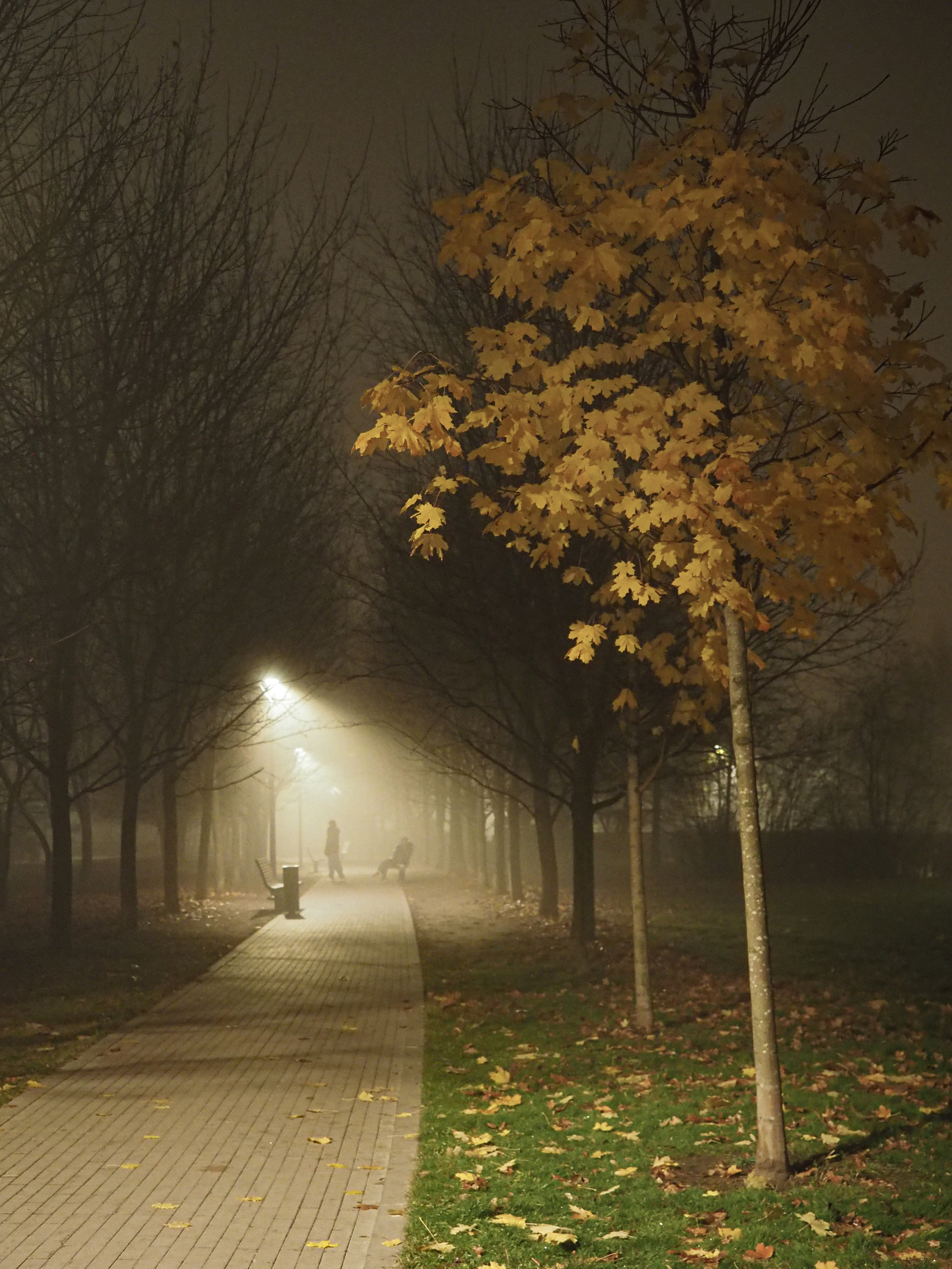 Moscow and its inhabitants. Фотограф