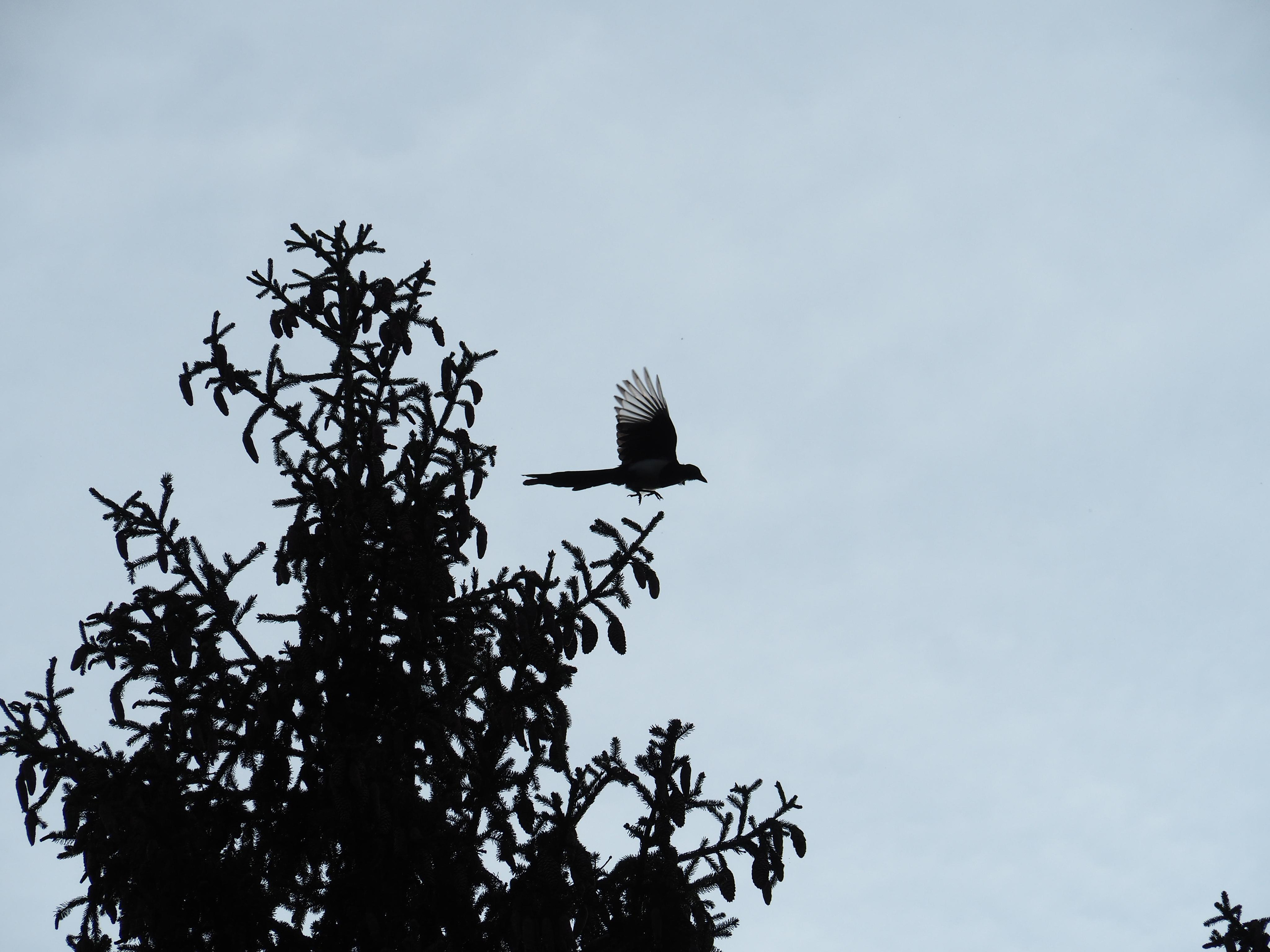 The world around me. Фотограф