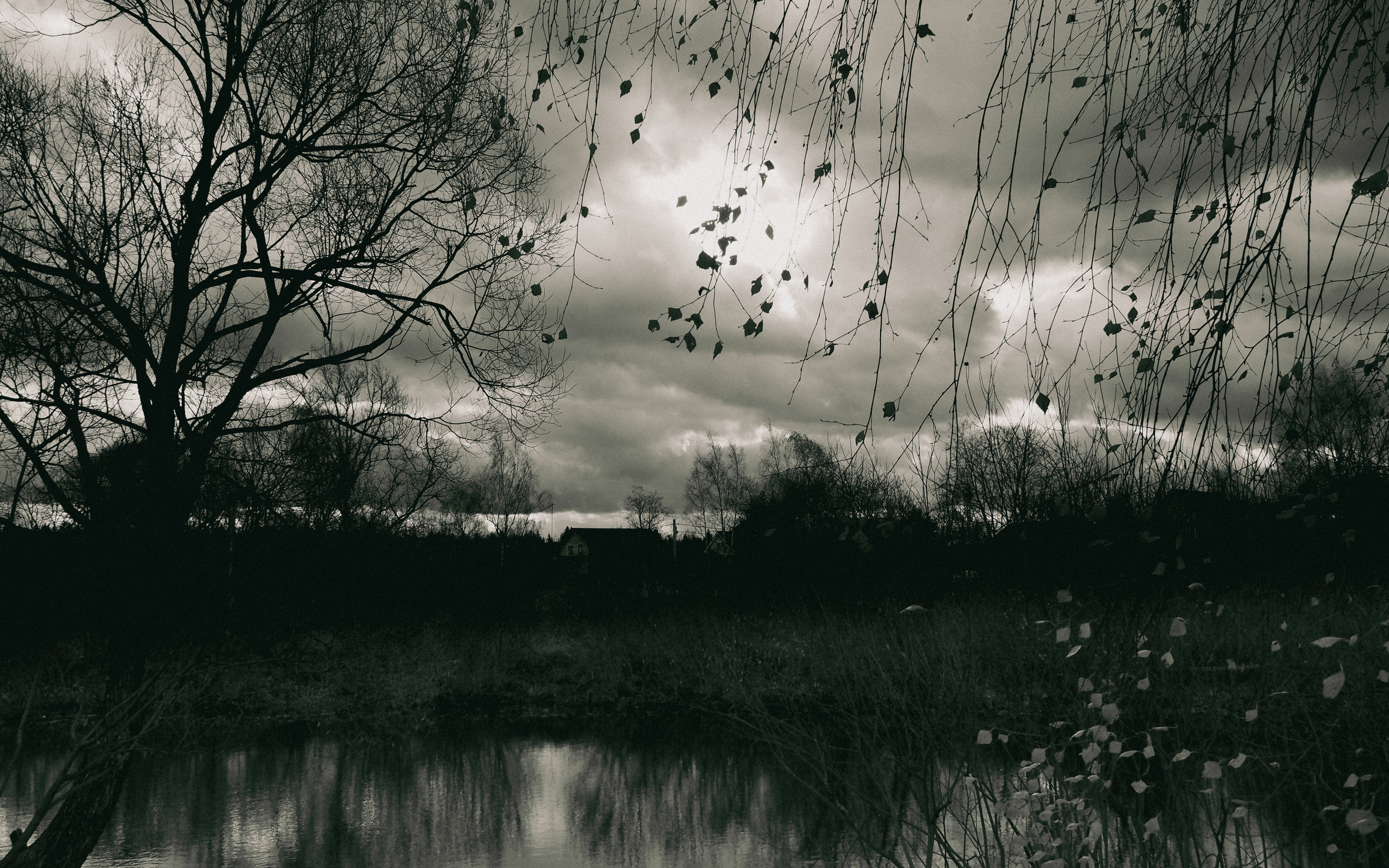 Not far from Moscow. Фотограф