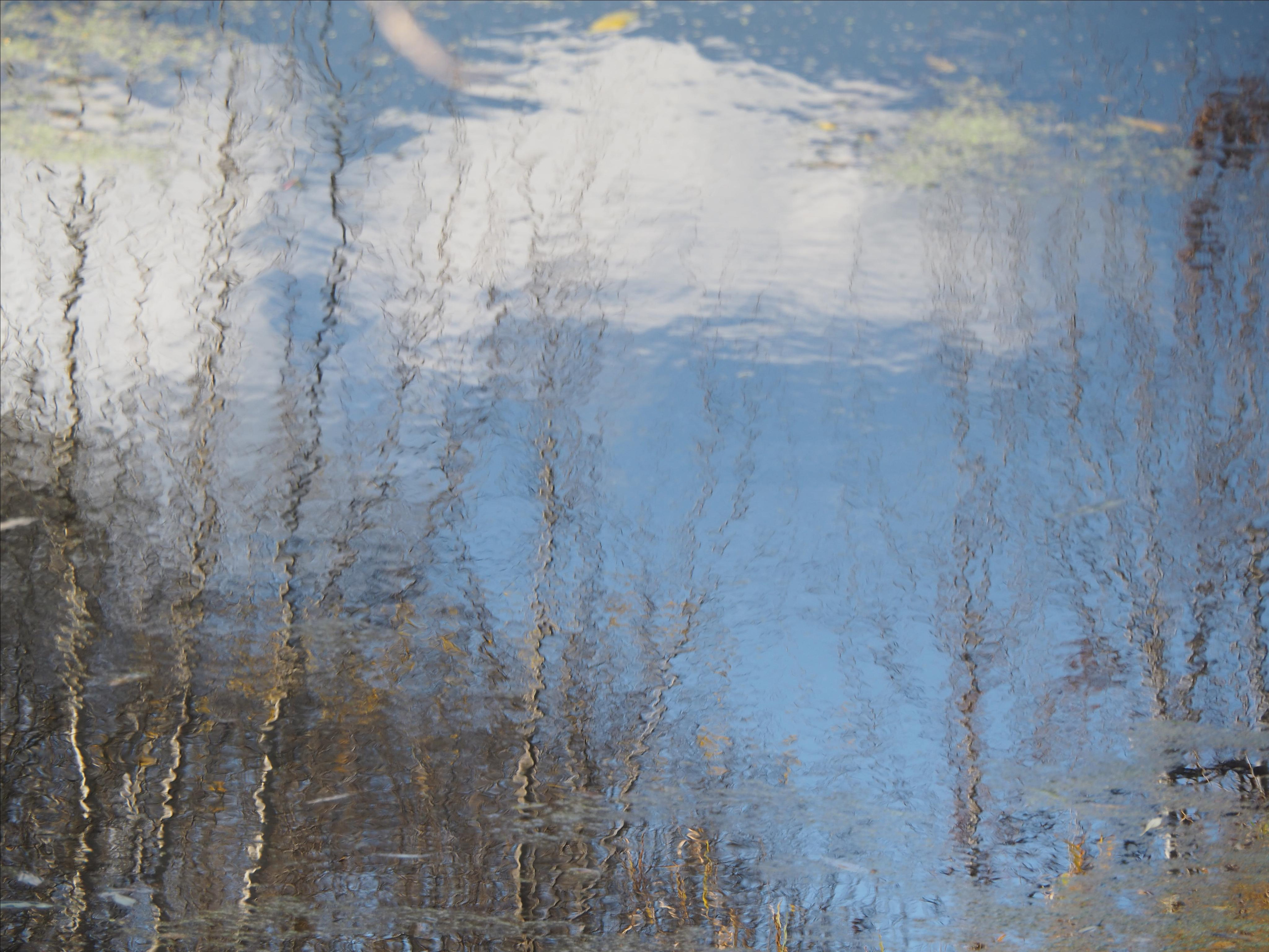 Not far from Moscow. Фотограф