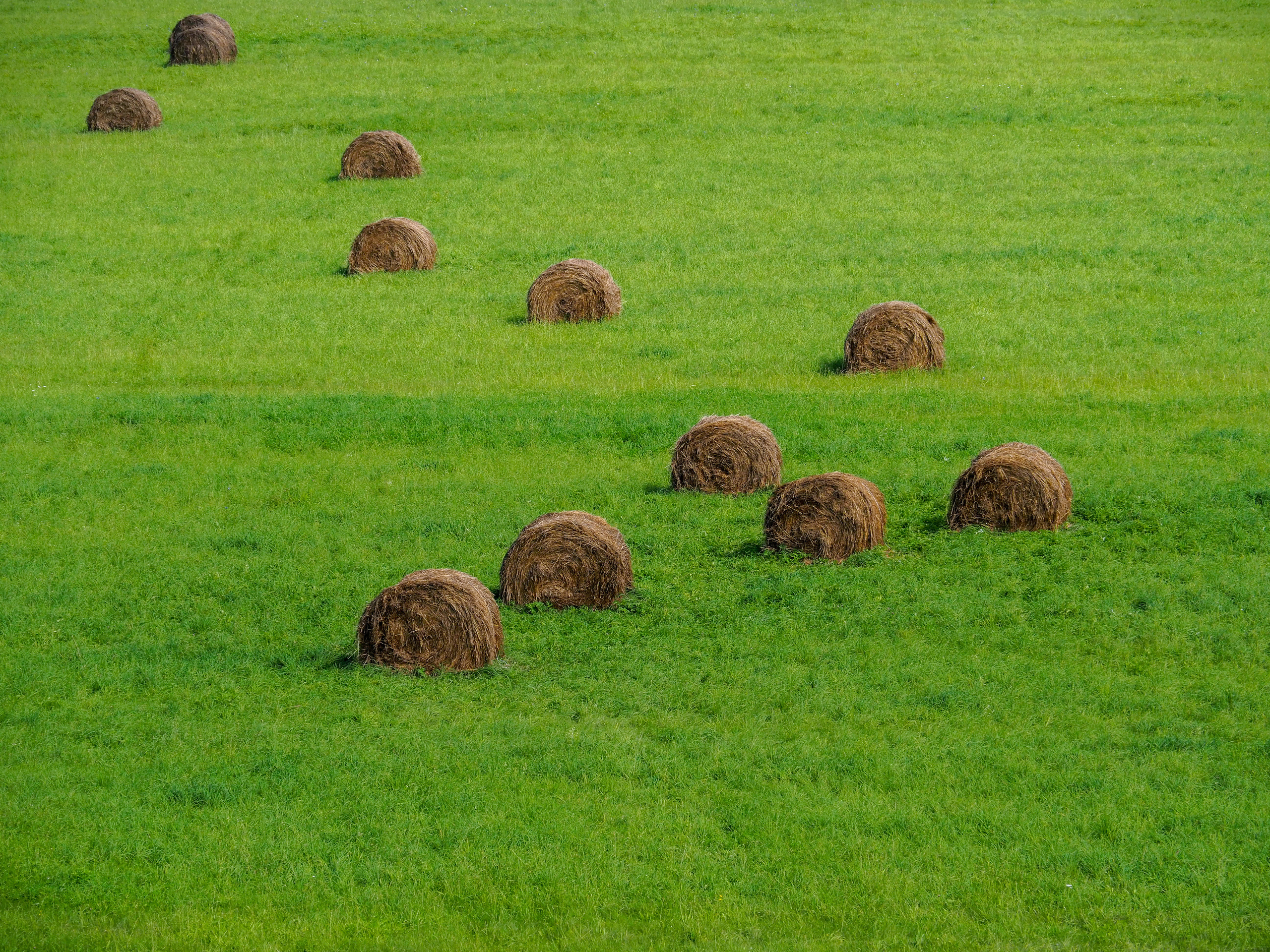 The world around me. Фотограф