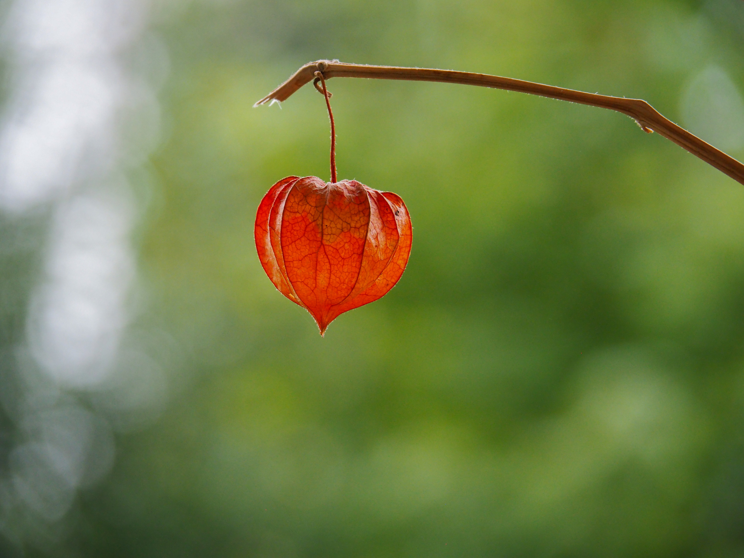 The world around me. Фотограф