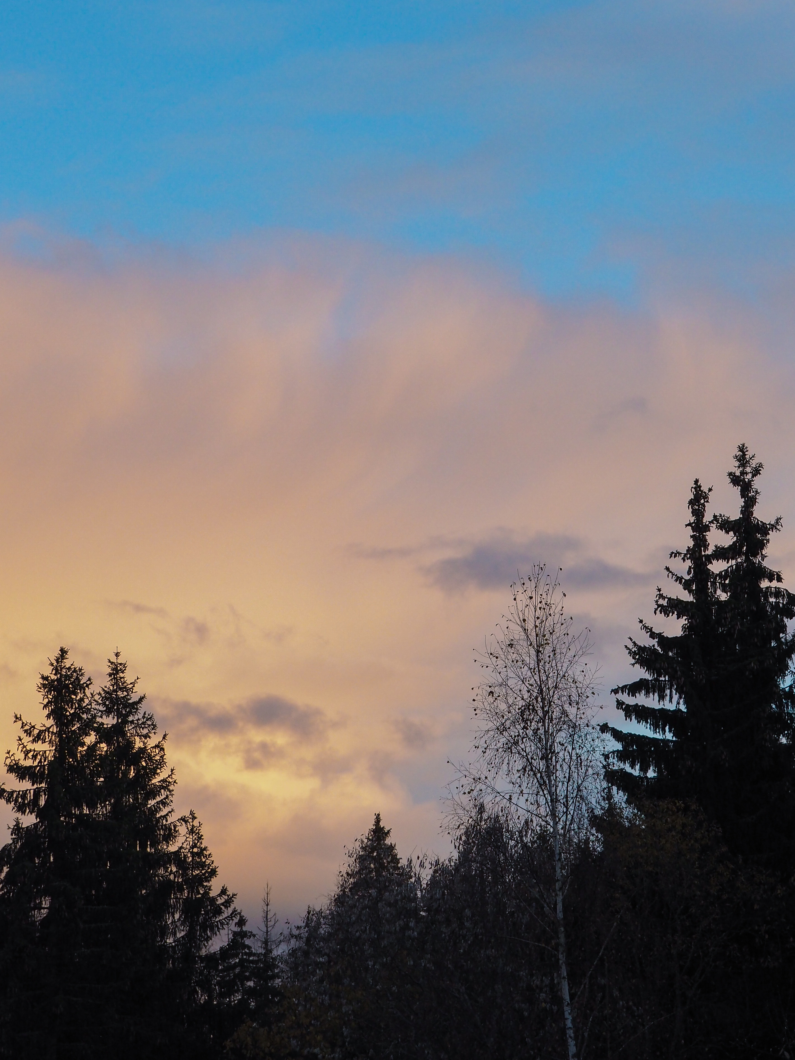 Not far from Moscow. Фотограф