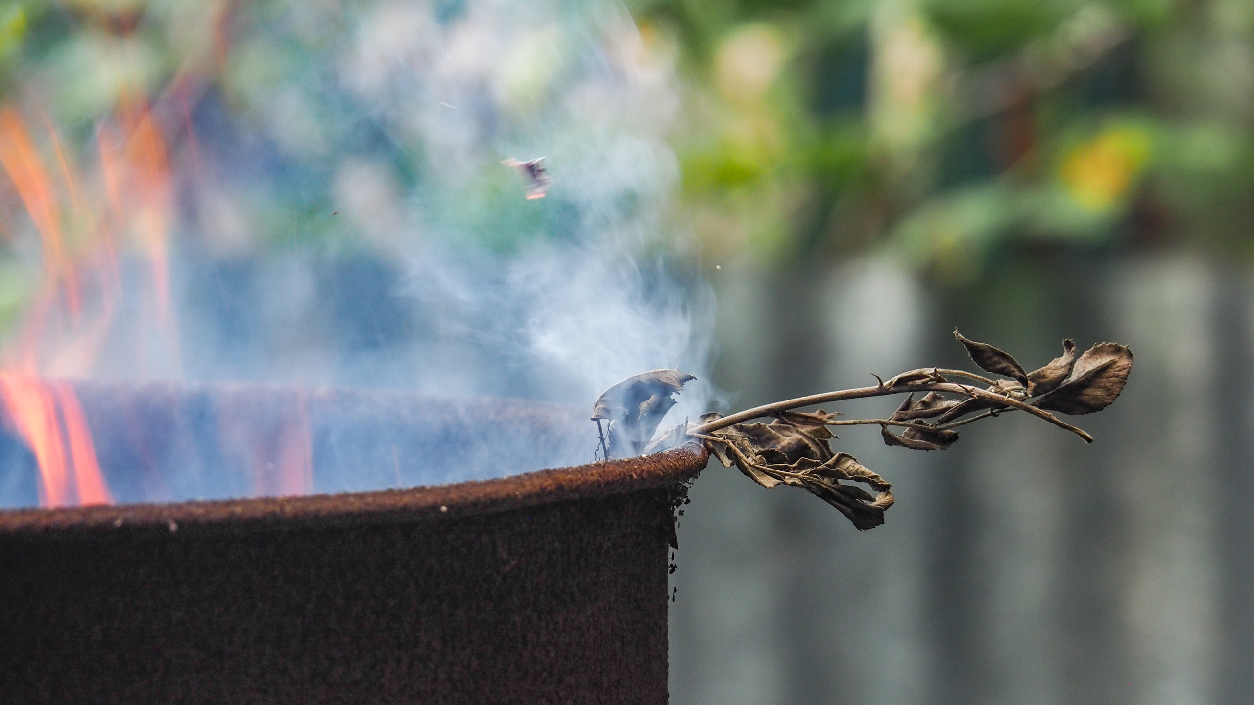 The world around me. Фотограф