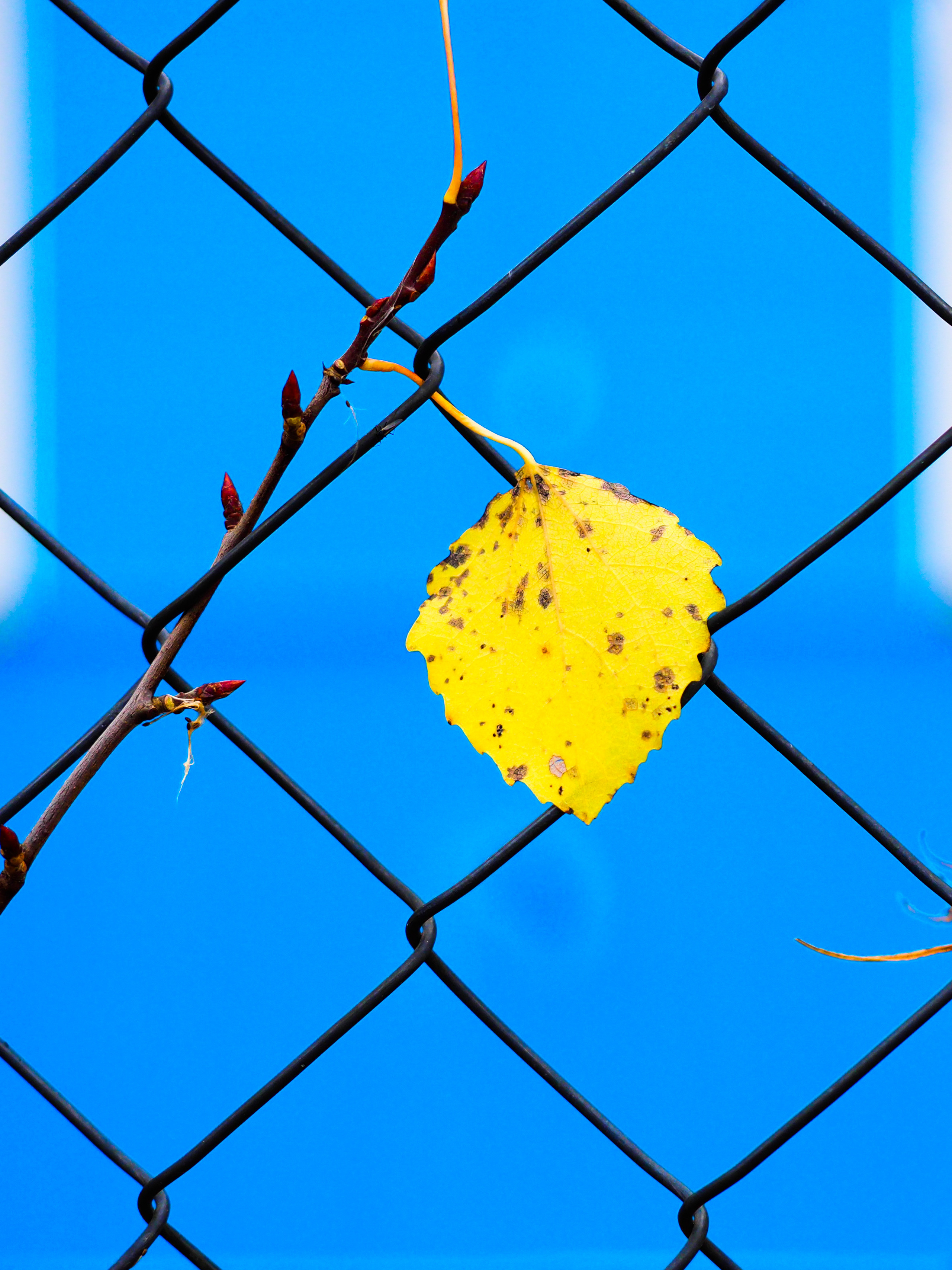 Autumn 2021. Фотограф