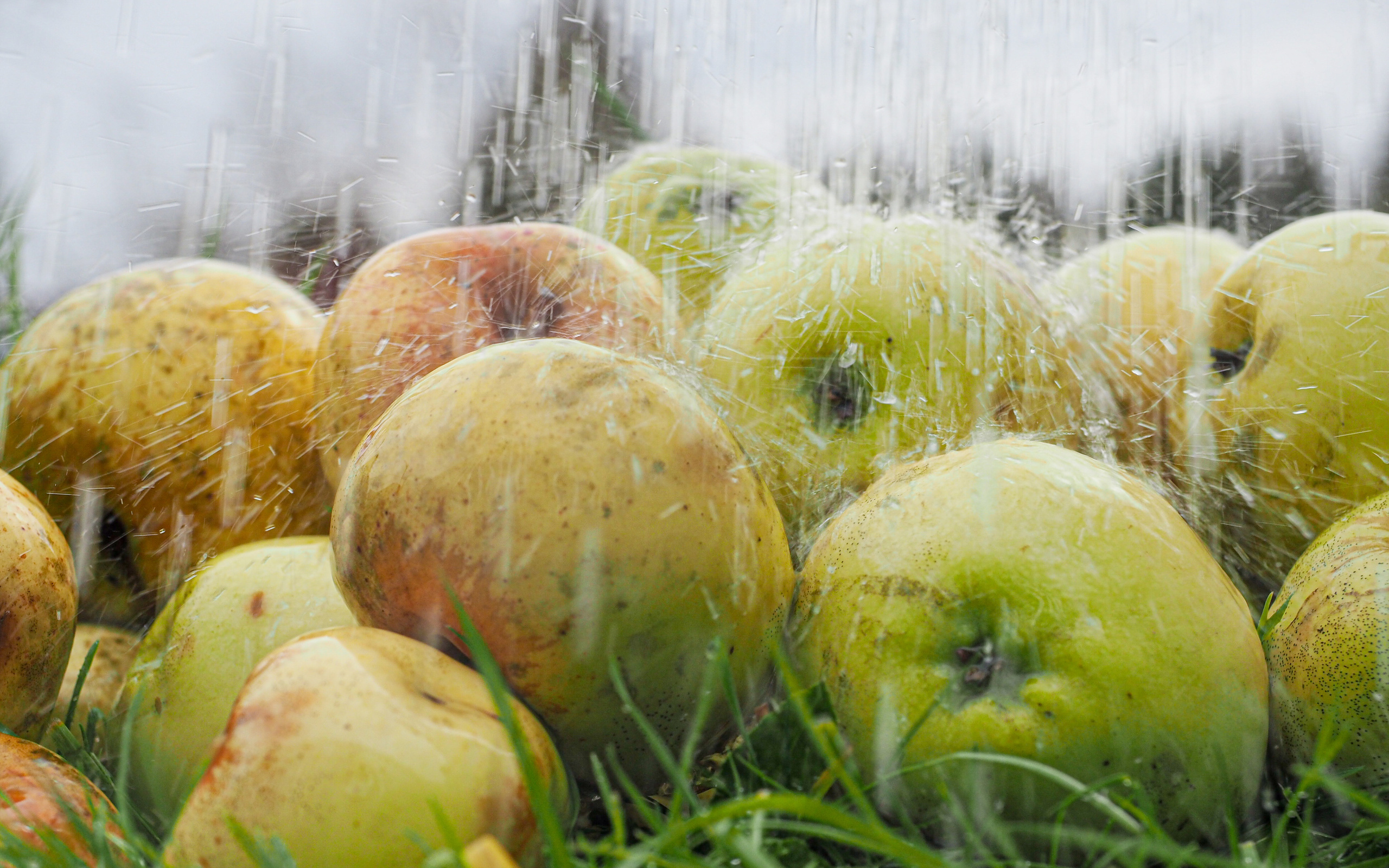 The world around me. Фотограф