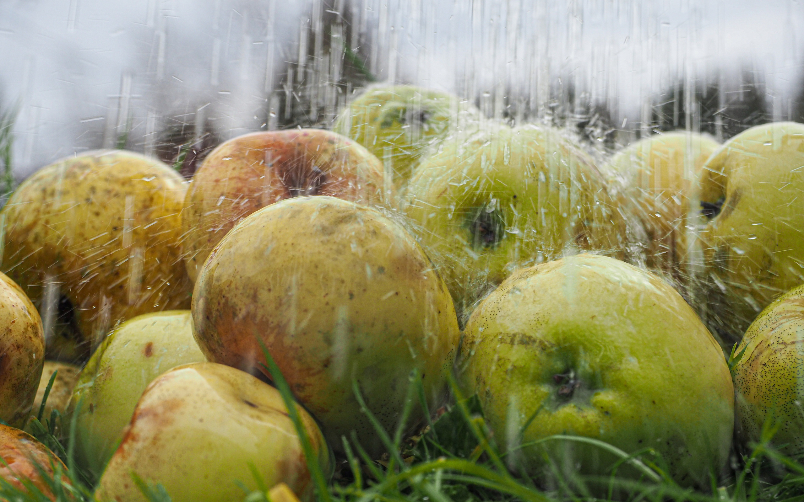 Not far from Moscow. Фотограф