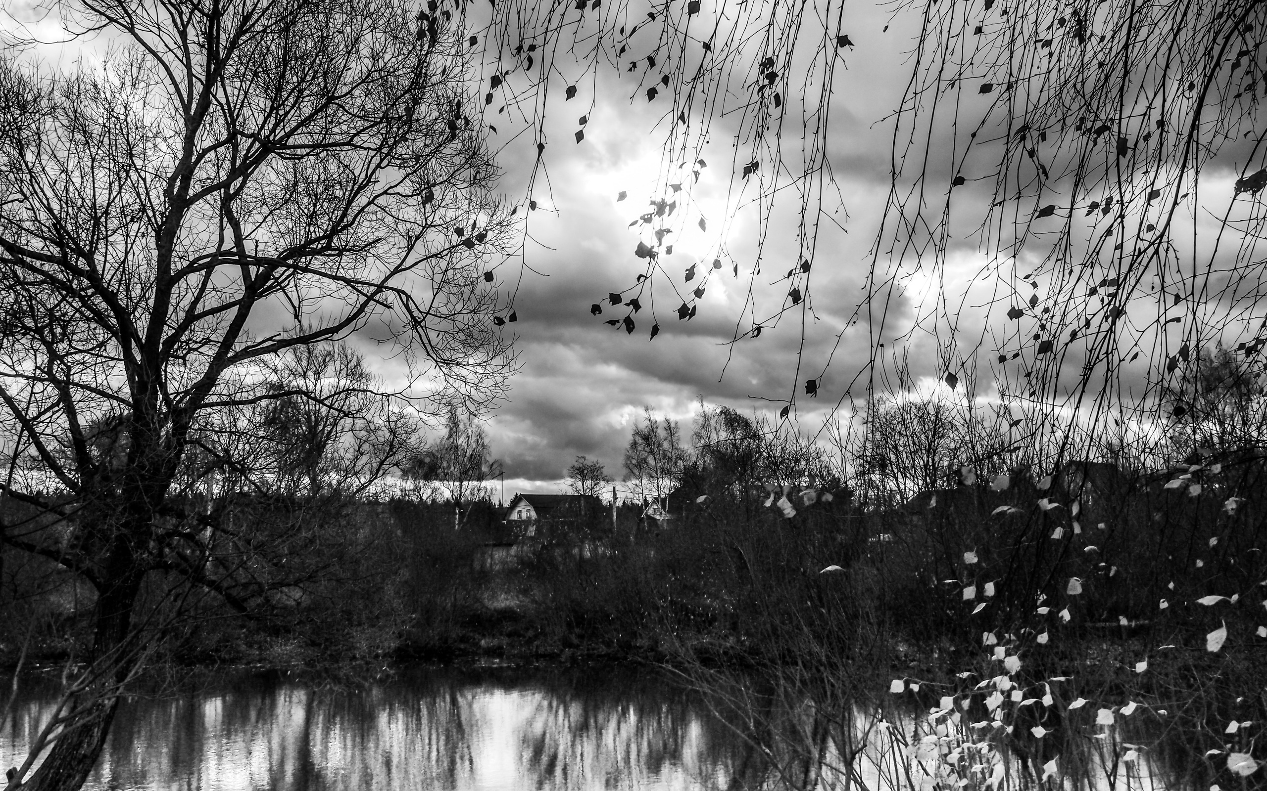 Black and white look. Фотограф