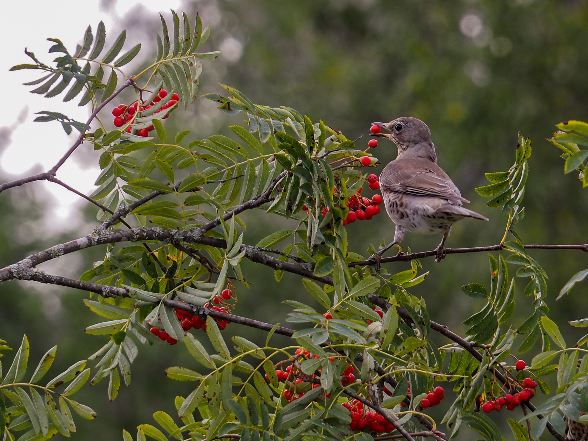 The world around me. Фотограф