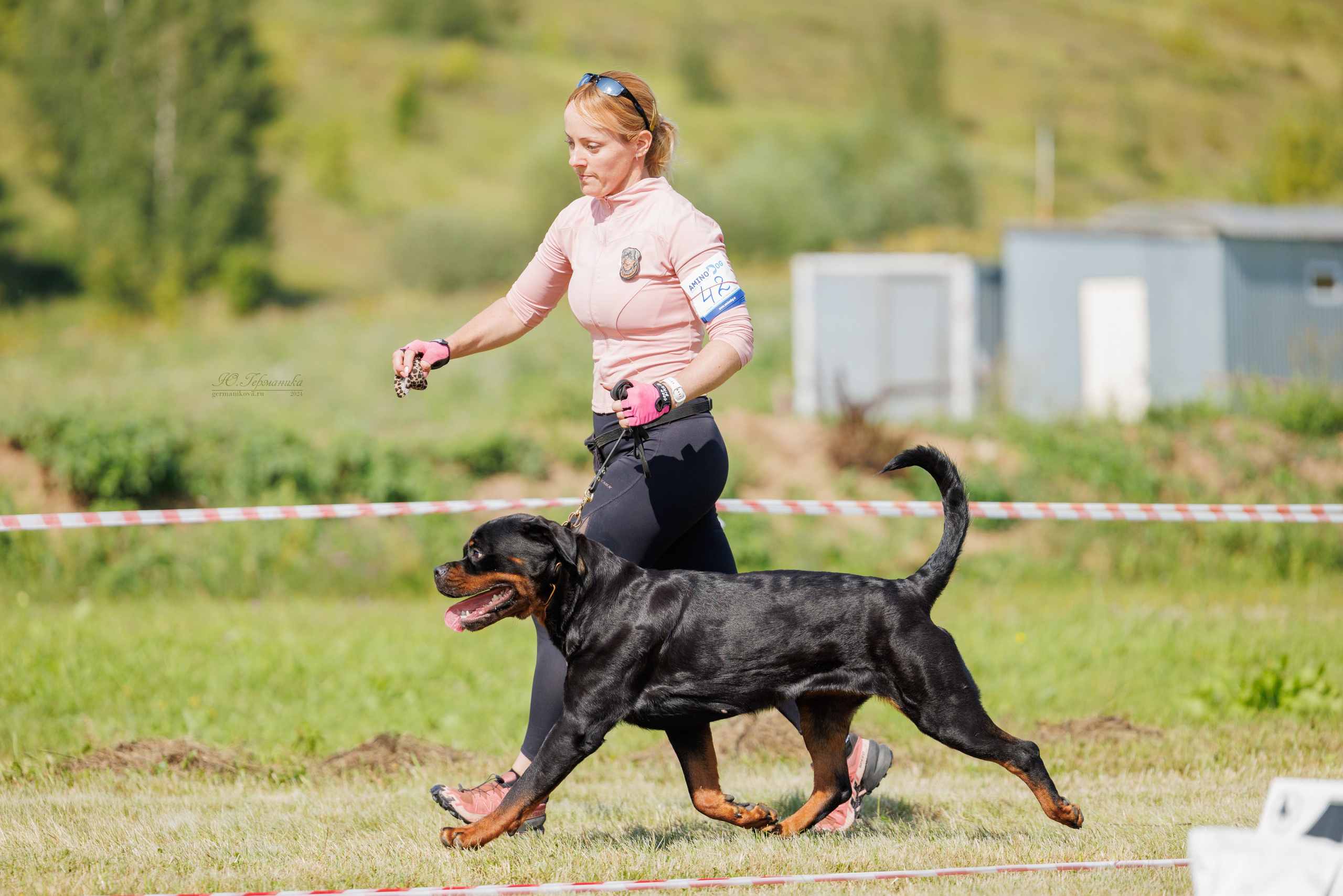 Рязань-Ховрино 10-11.08.2024 3хмоно ротвейлеров. Фотограф-анималист Юлия Германика