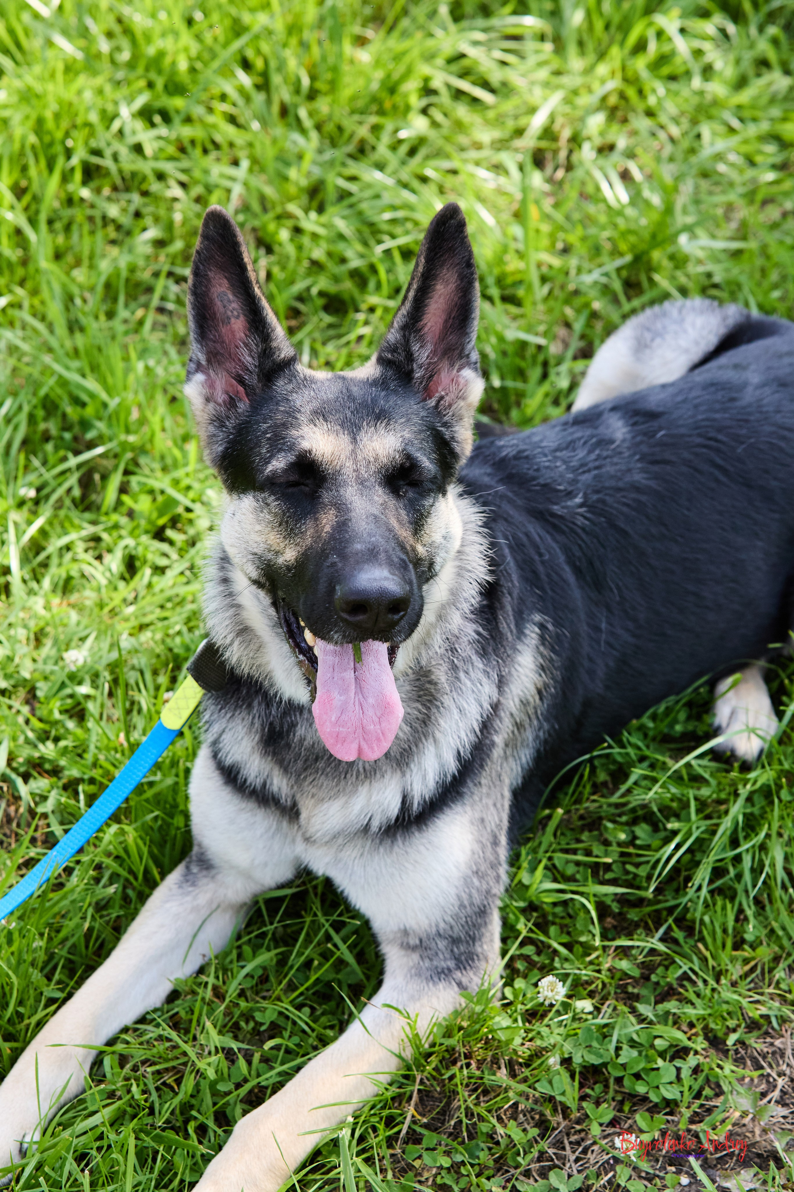 Проект фотопрогулка с хвостиком. Buyvolenko Andrey