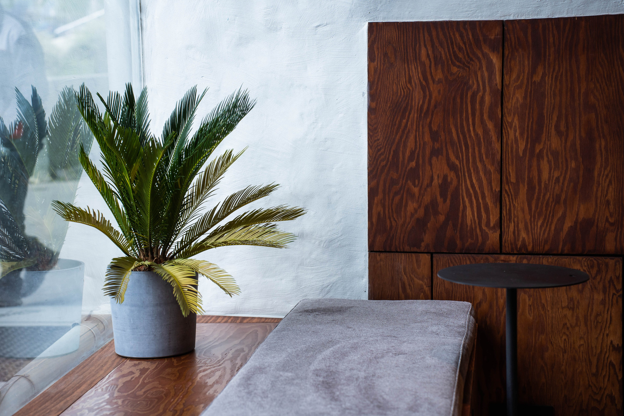 SURF COFFEE| DAY. Фотограф Абакумова Анастасия