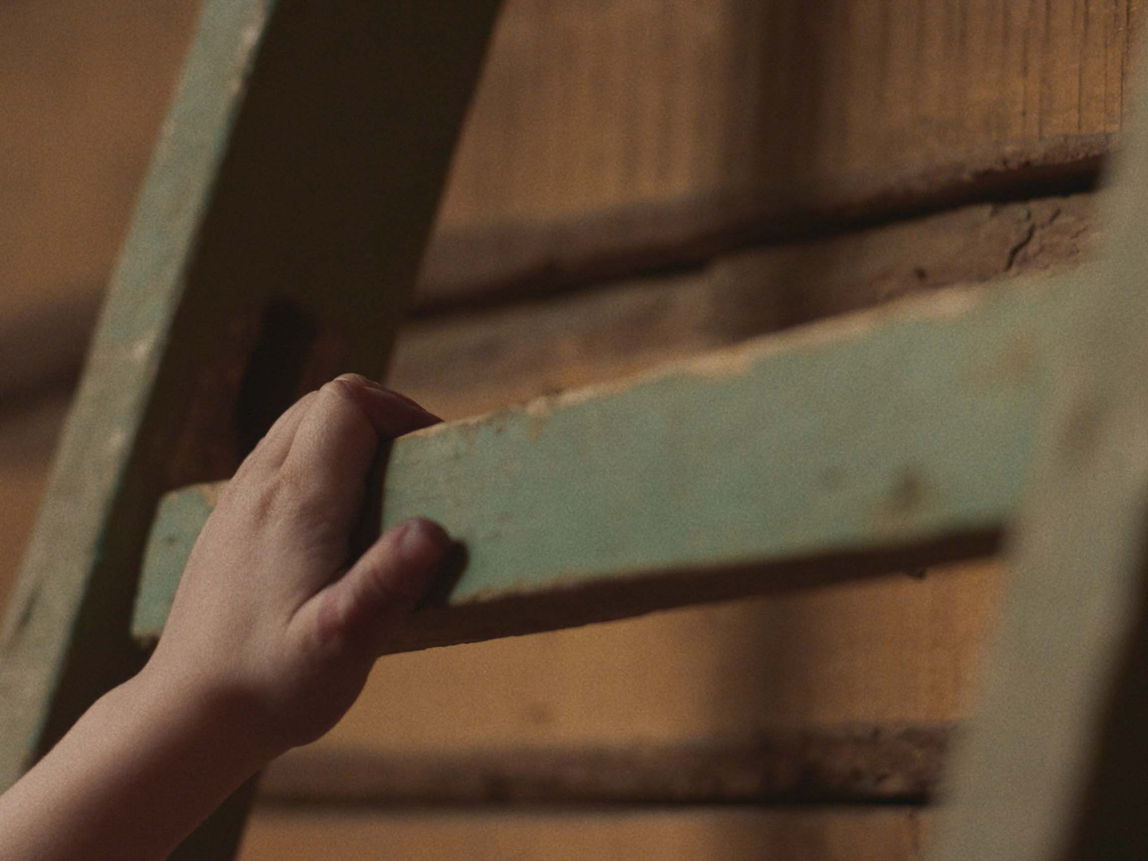 Розы Анны. Цветокоррекция видео