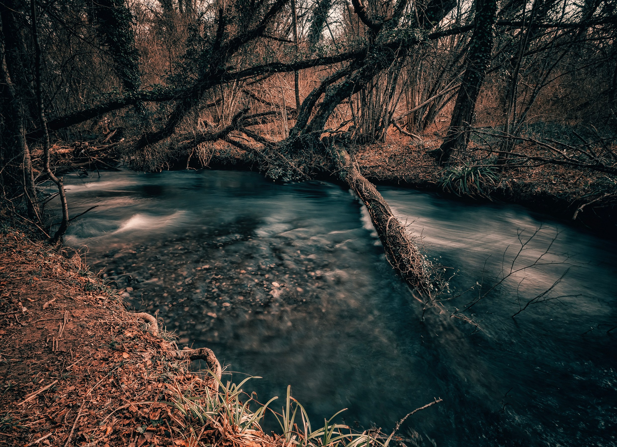 Макс По — фото и видео съемки любого формата
