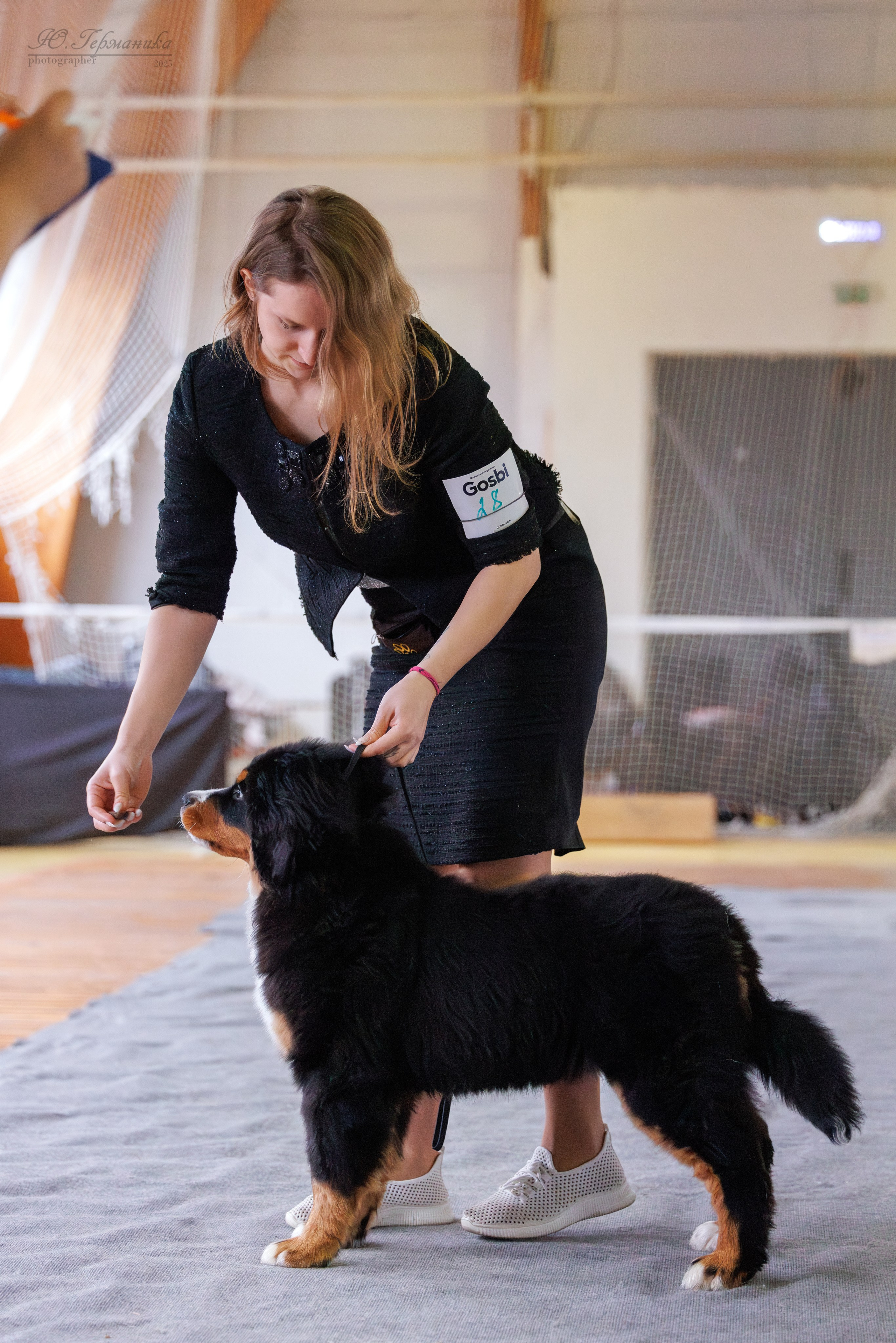 Тверь 21.12.2025. Фотограф-анималист Юлия Германика