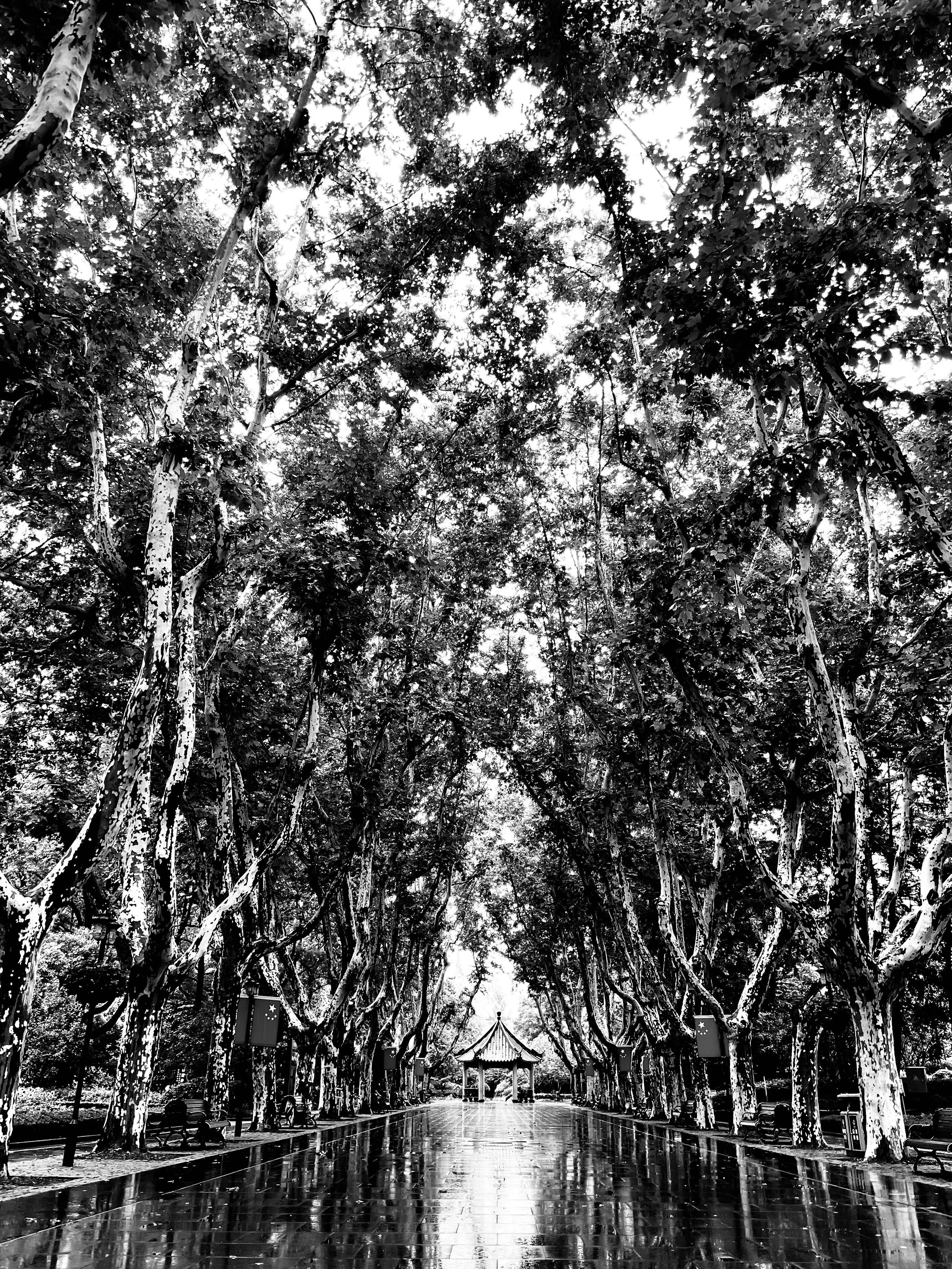 STREET. Photographer Yudakova Daria