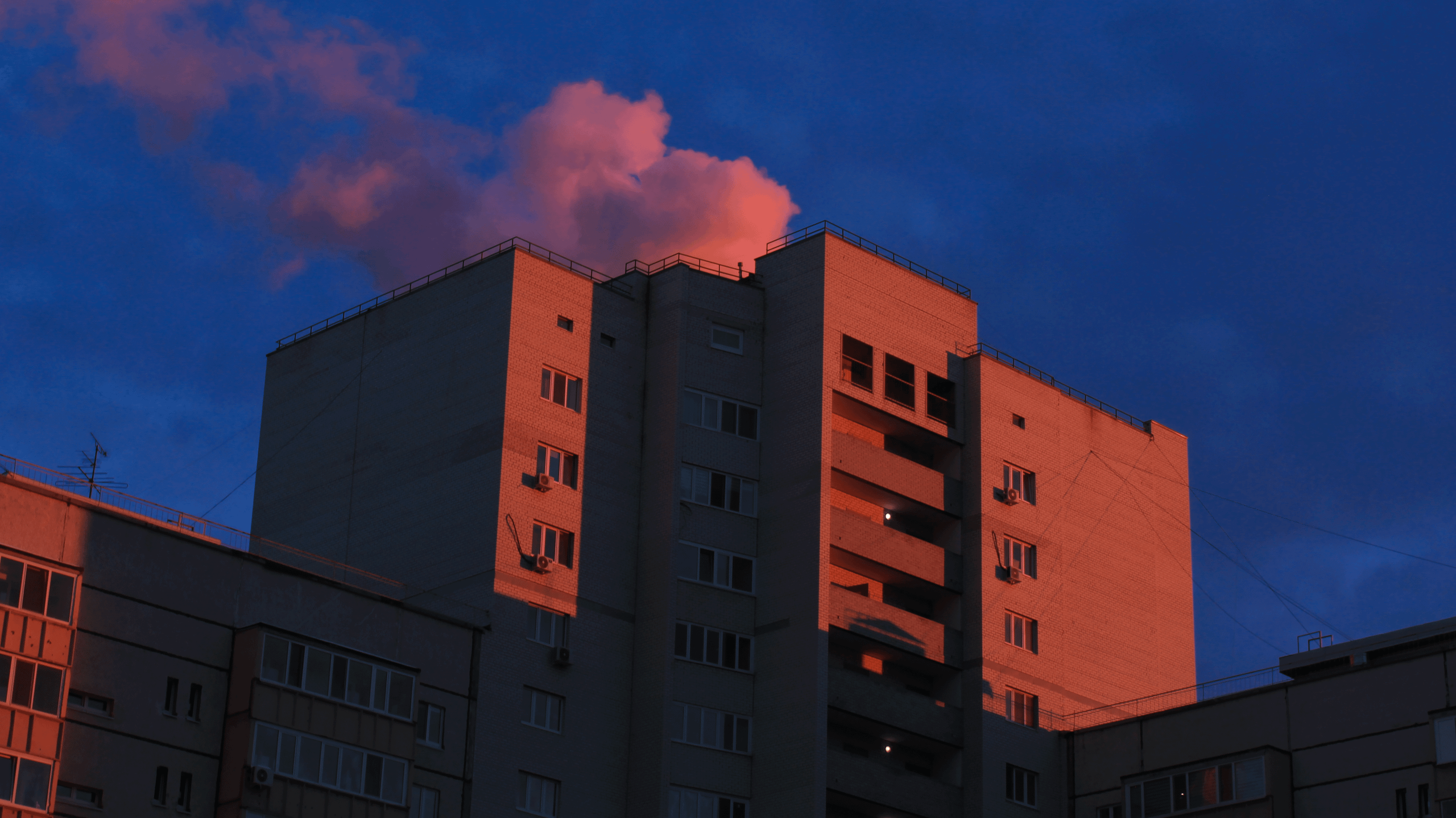 TMN autumn '24. Фотограф/дизайнер в Екатеринбурге Хитрый Дмитрий