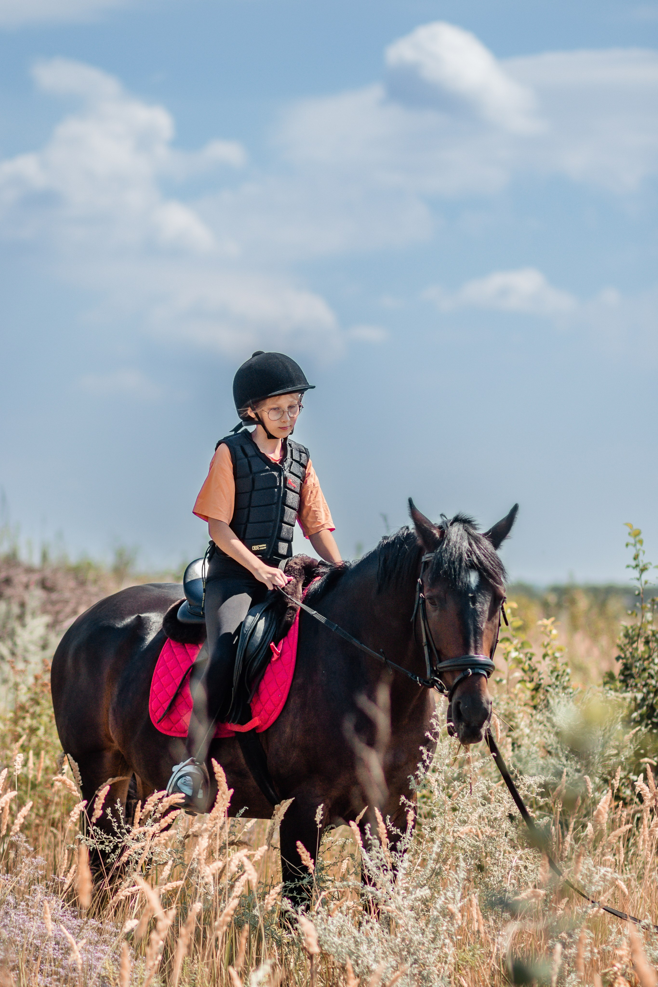 Выезды в поля на лошади