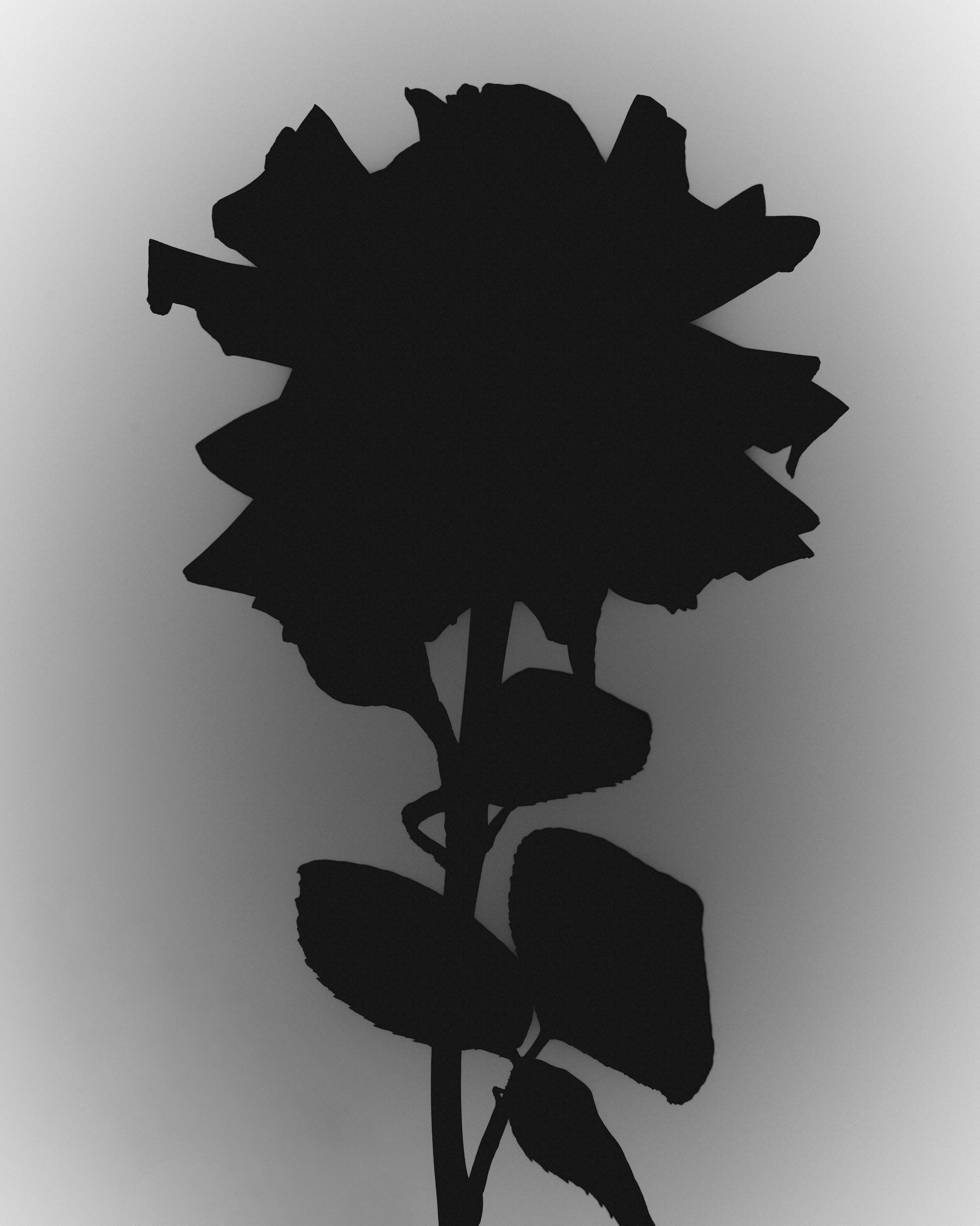 Каталожная съемка одежды для брендов под ключ в Москве