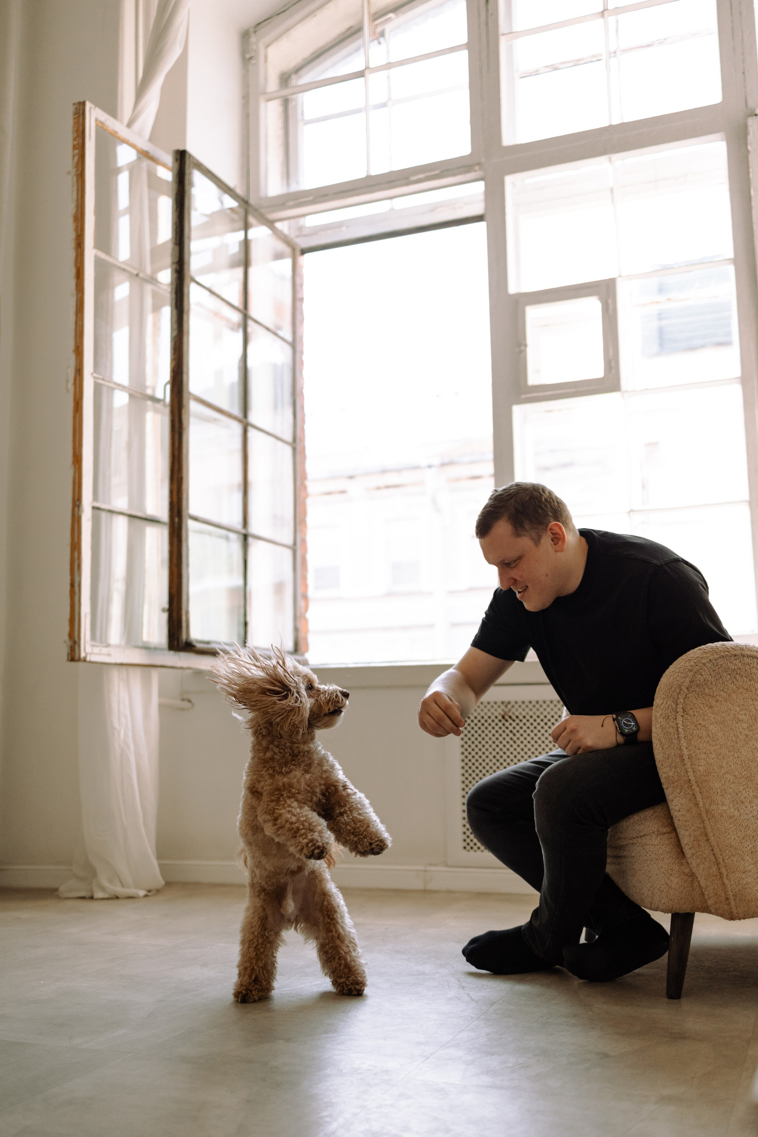 Шкипер и его семья. Фотограф — Анималист | Санкт-Петербург