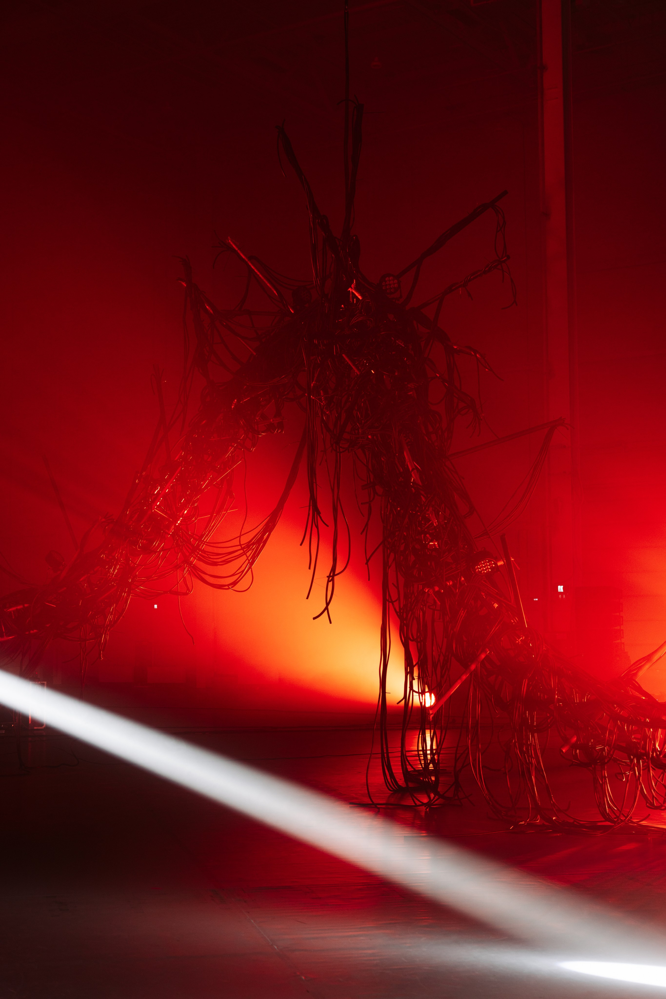 PANTERRA, CHRONOMORPH 001. @tomrus: Рустам Шагиморданов — фотограф