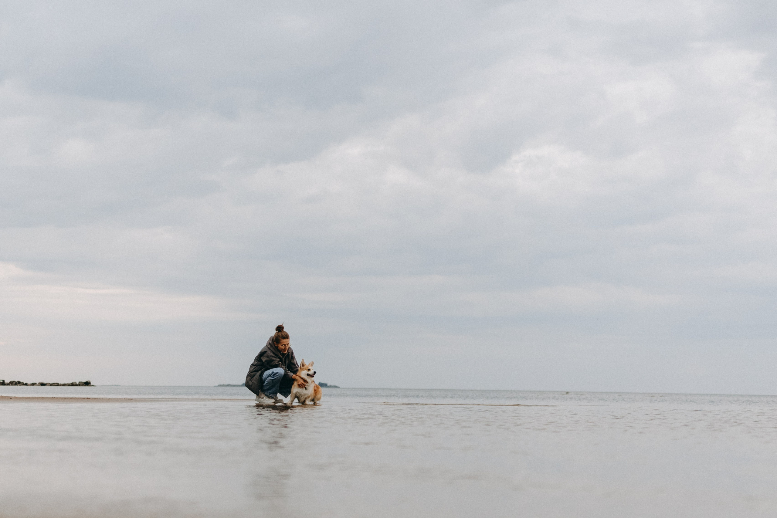 Лиза и Бакс. Фотограф — Анималист | Санкт-Петербург