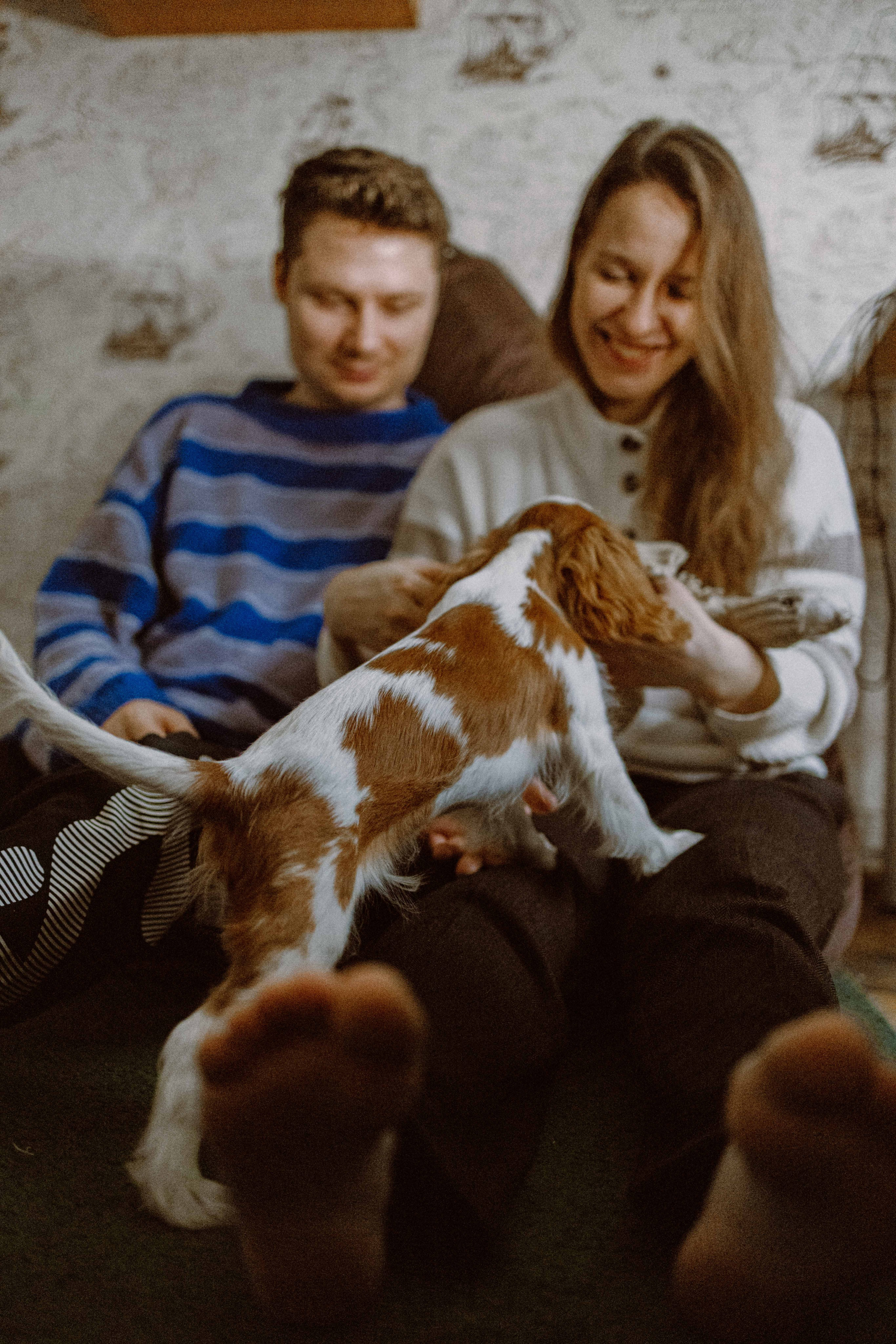 Юля и Кипр. Фотограф-анималист в Москве Лера Черноног