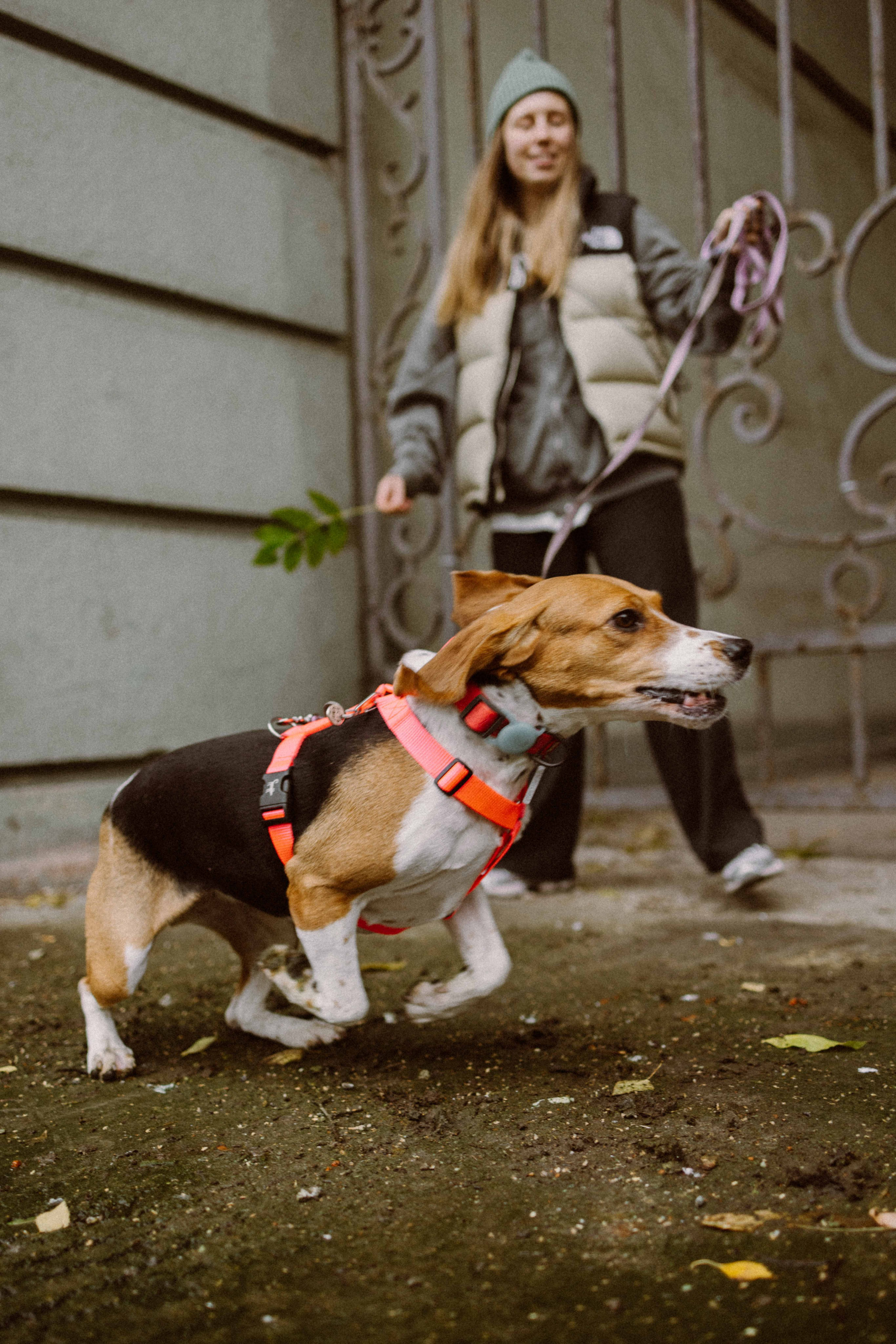 Света и Ива. Фотограф-анималист в Москве Лера Черноног