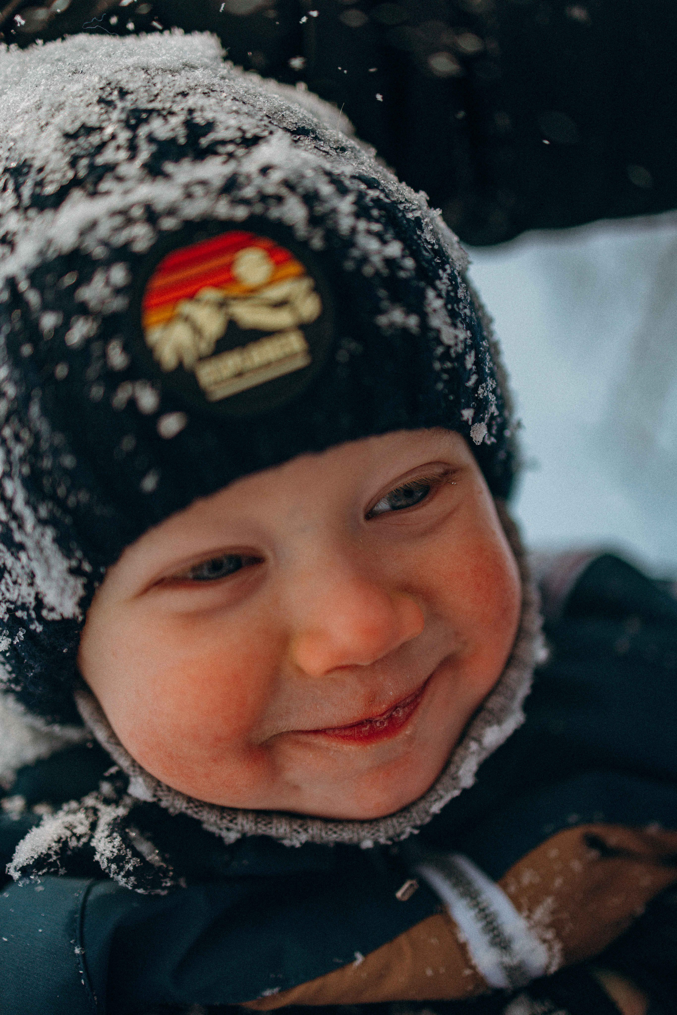 Свобода и ее семья. Фотограф-анималист в Москве Лера Черноног