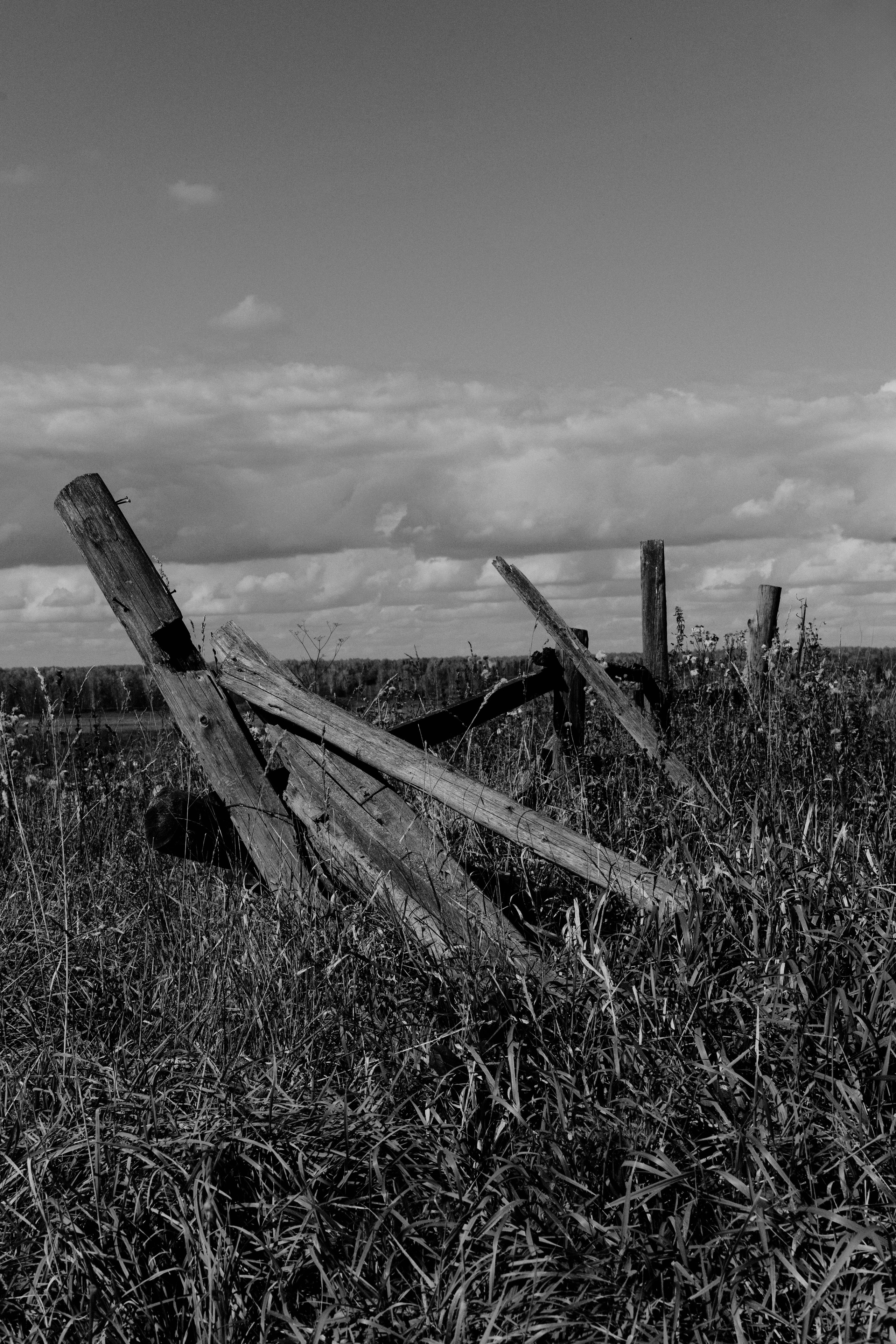 Ишим (Кемеровская область). Veronika Popadeikina Photographer