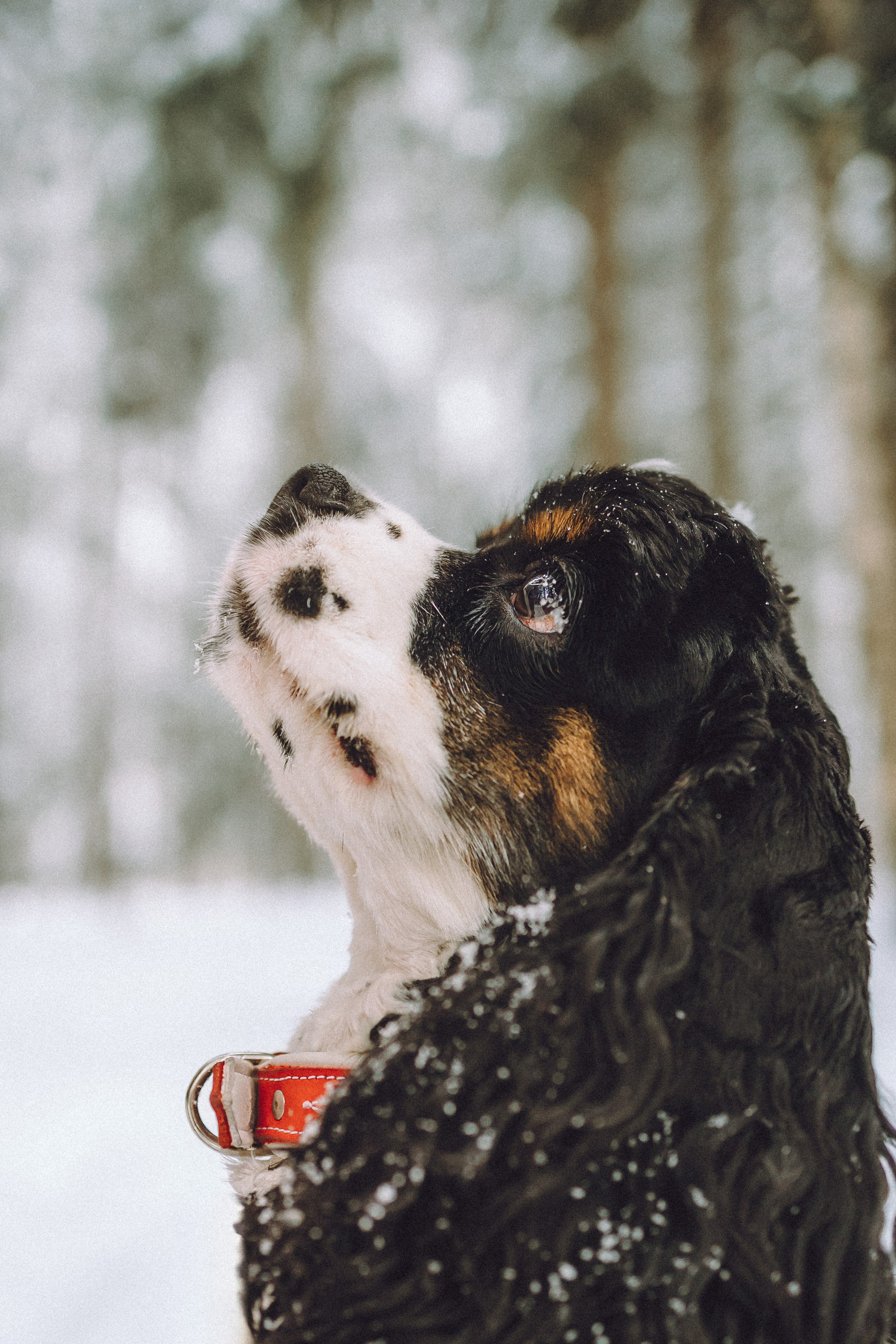 Ольга и Патрик
