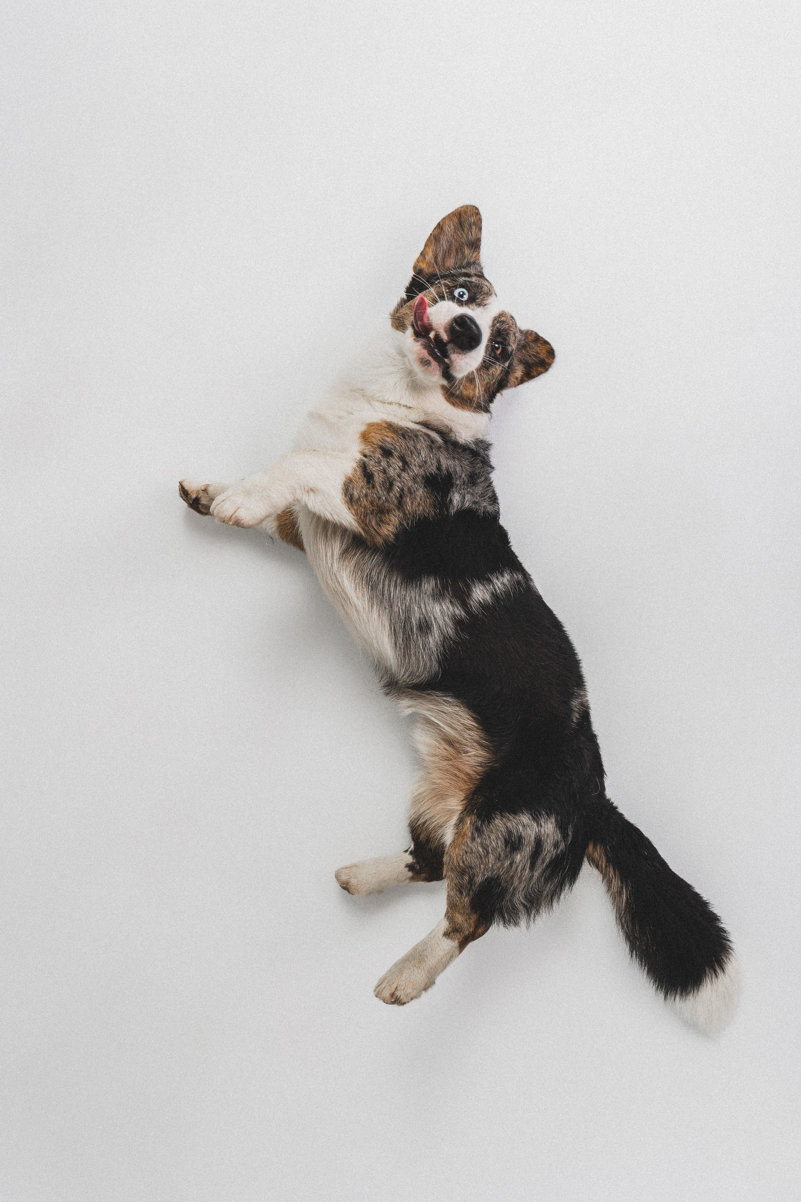 Анатолий и Рагнар