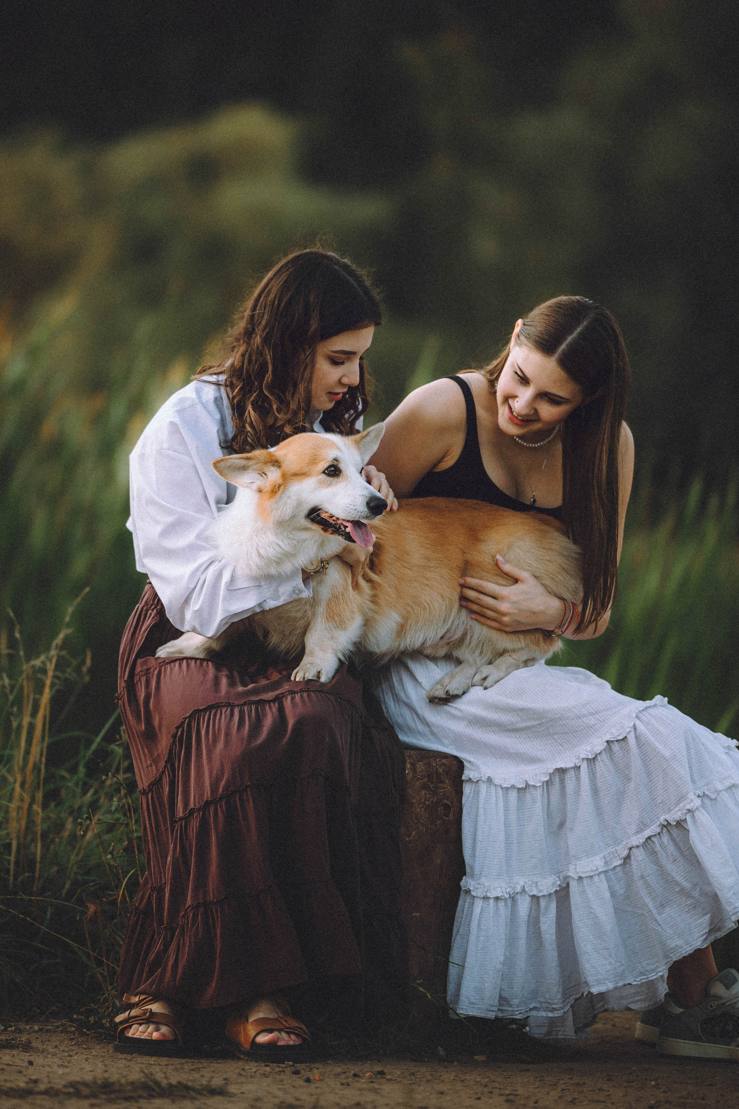 Арчи и его семья