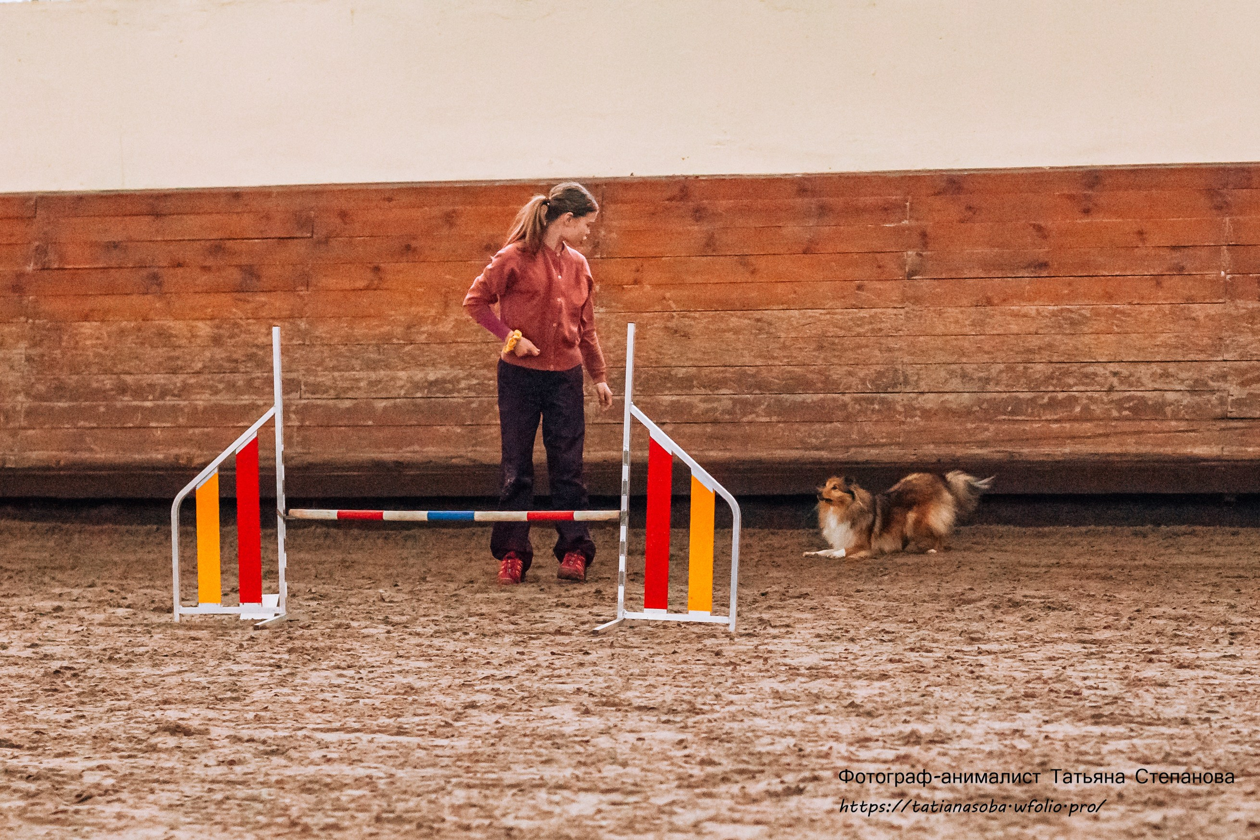Соревнования по Аджилити 25.02.2024. Фотограф-анималист Татьяна Степанова