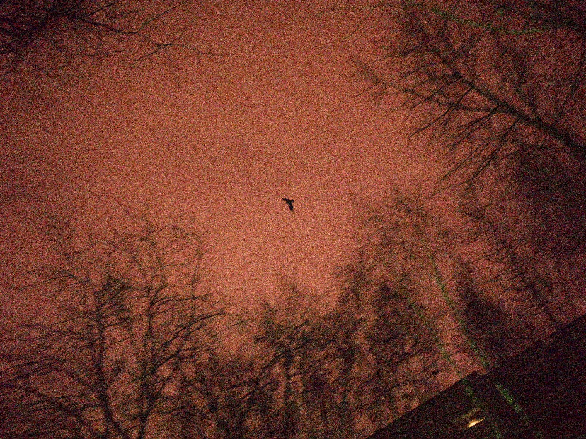 Снова Летать Высоко. Фотокнига. Рекламный и коммерческий фотограф | Георгий Романов