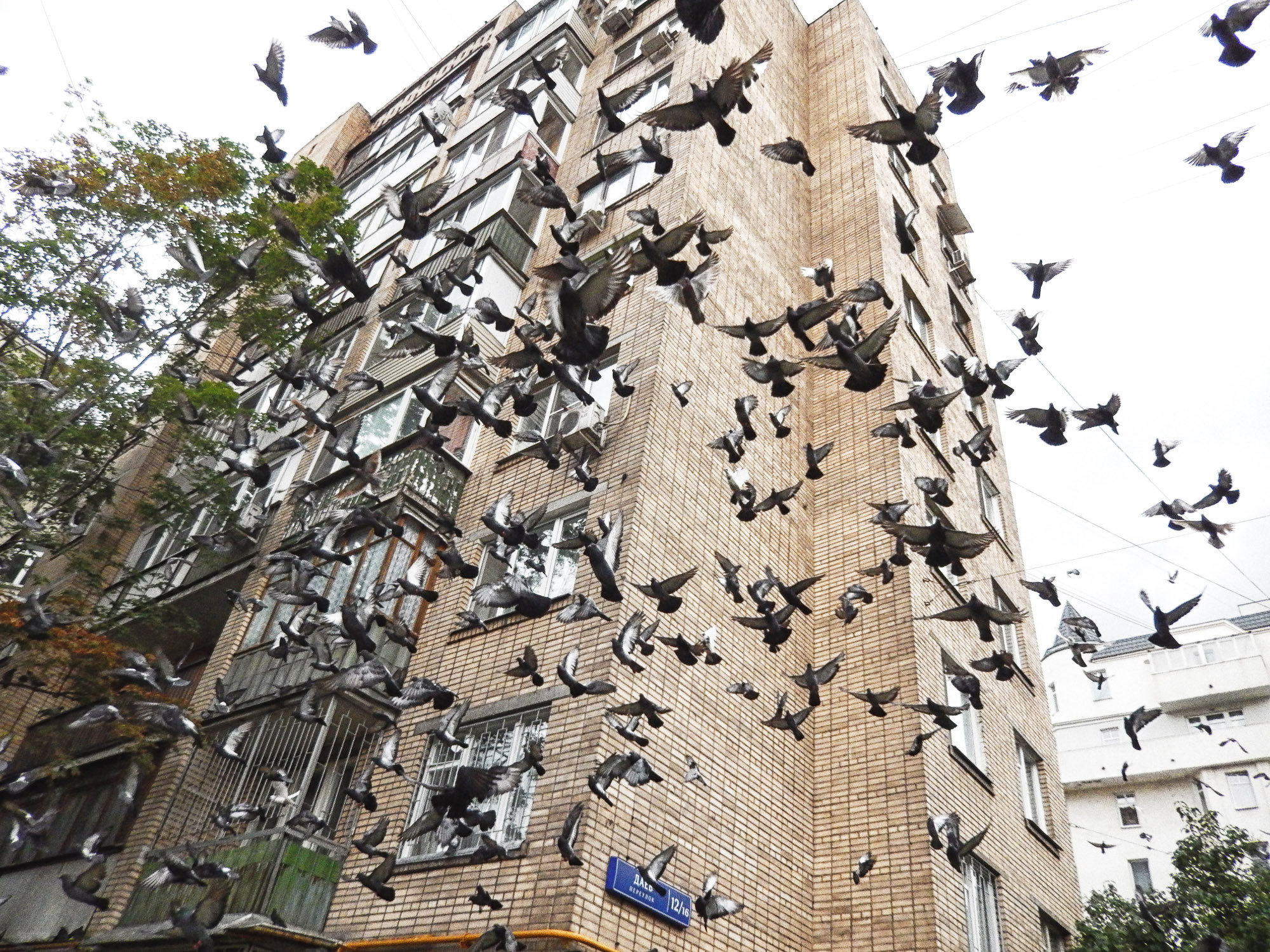 Снова Летать Высоко. Фотокнига. Рекламный и коммерческий фотограф | Георгий Романов