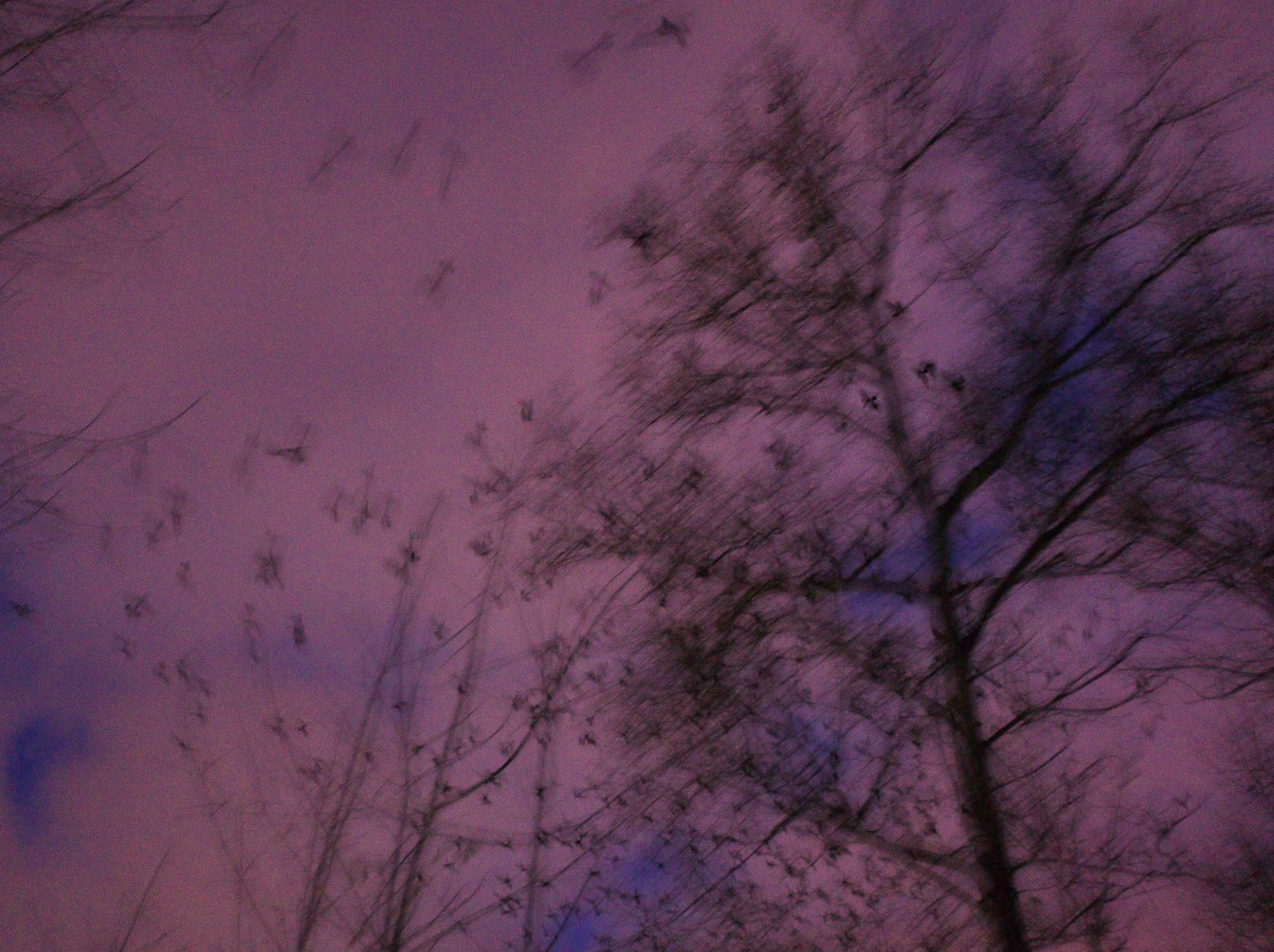 Снова Летать Высоко. Фотокнига. Рекламный и коммерческий фотограф | Георгий Романов