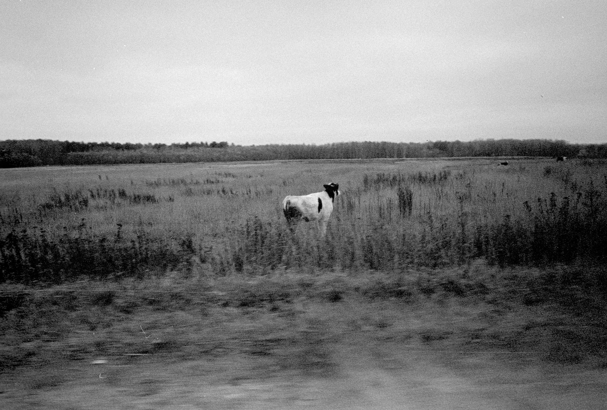 Осенний Блюз. Рекламный и коммерческий фотограф | Георгий Романов