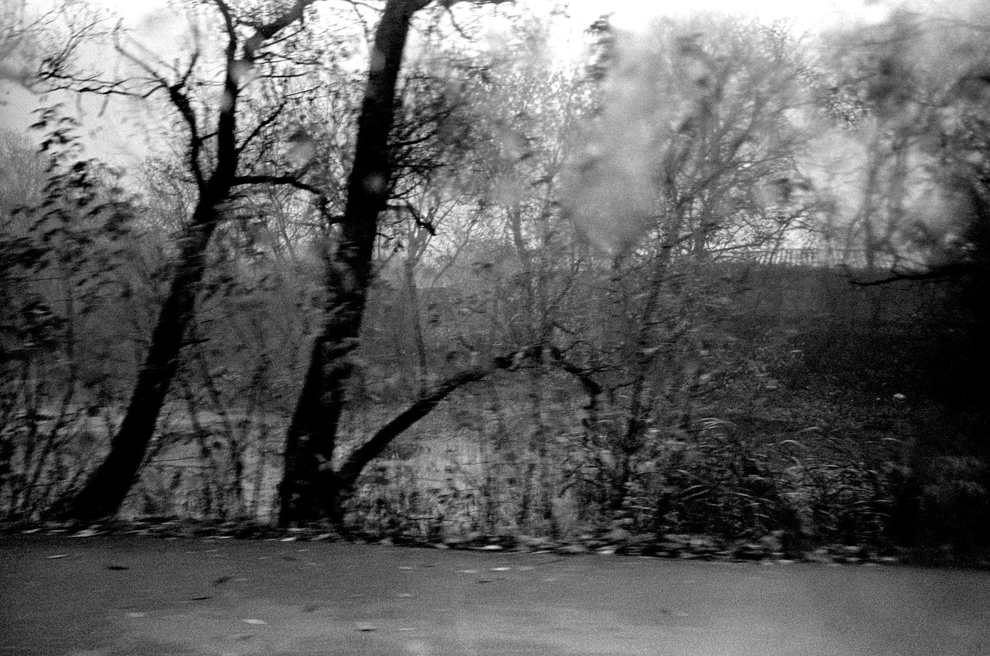 Осенний Блюз. Рекламный и коммерческий фотограф | Георгий Романов